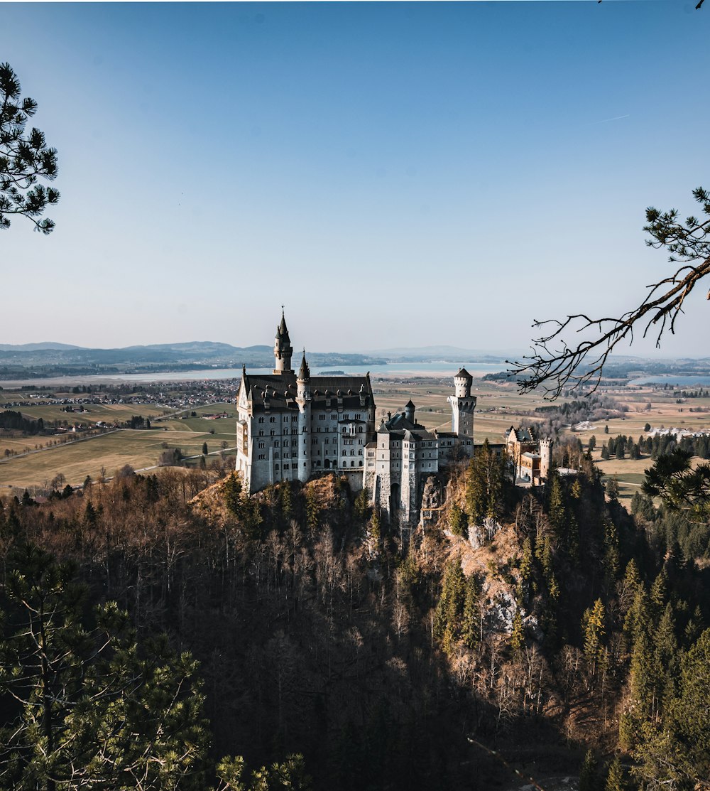 a castle on a hill