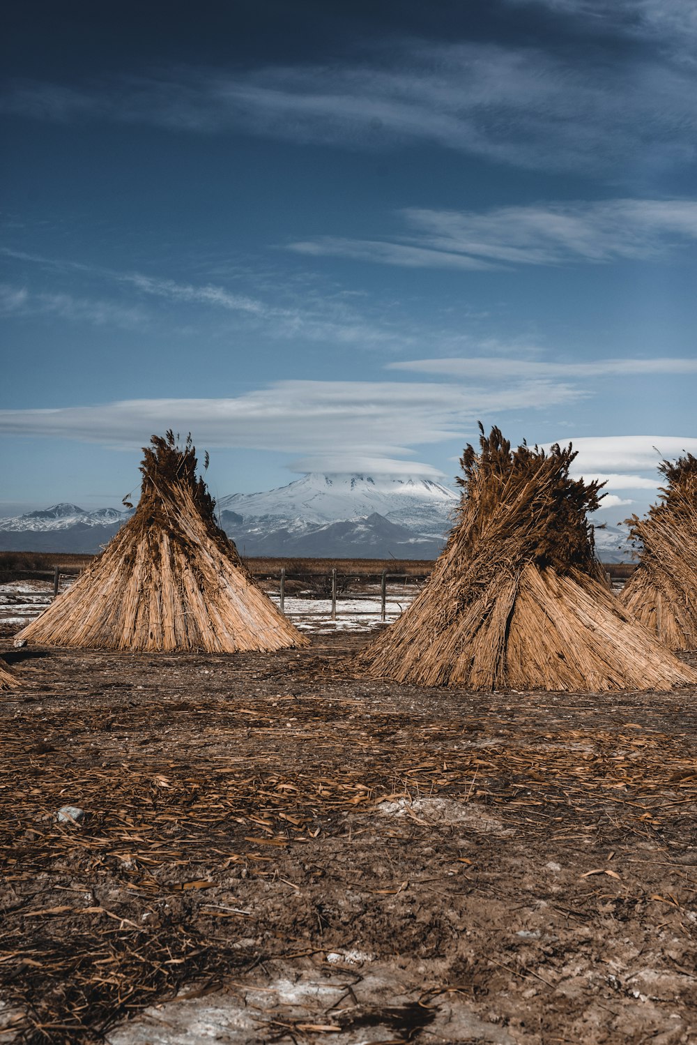 a group of straw huts