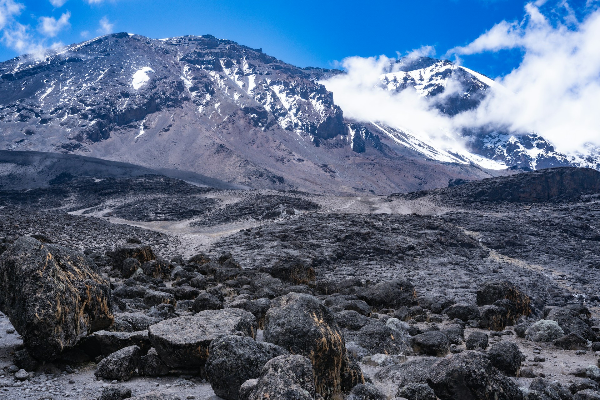 Kilimanjaro climbers with guide