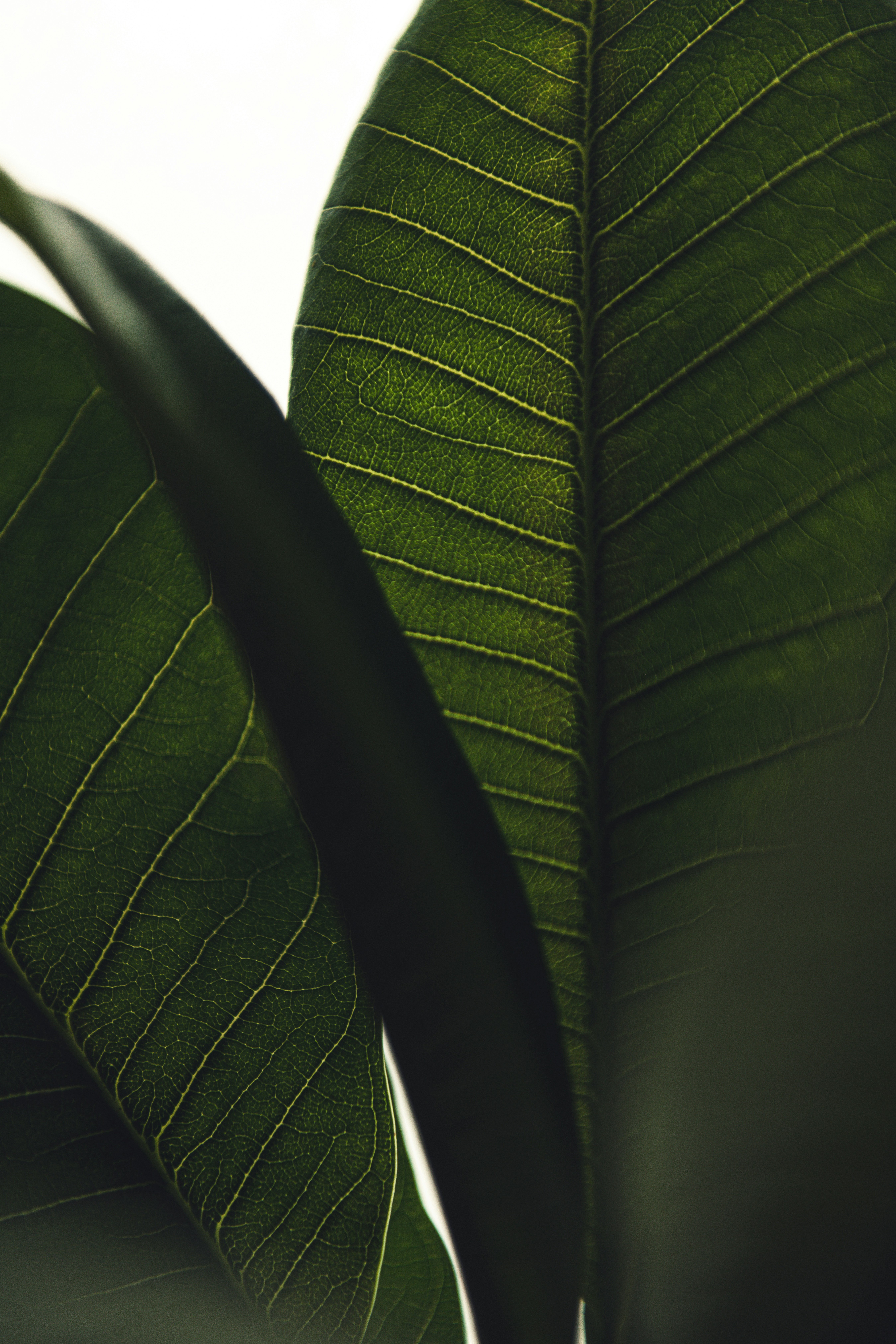 Photo by timmossholder