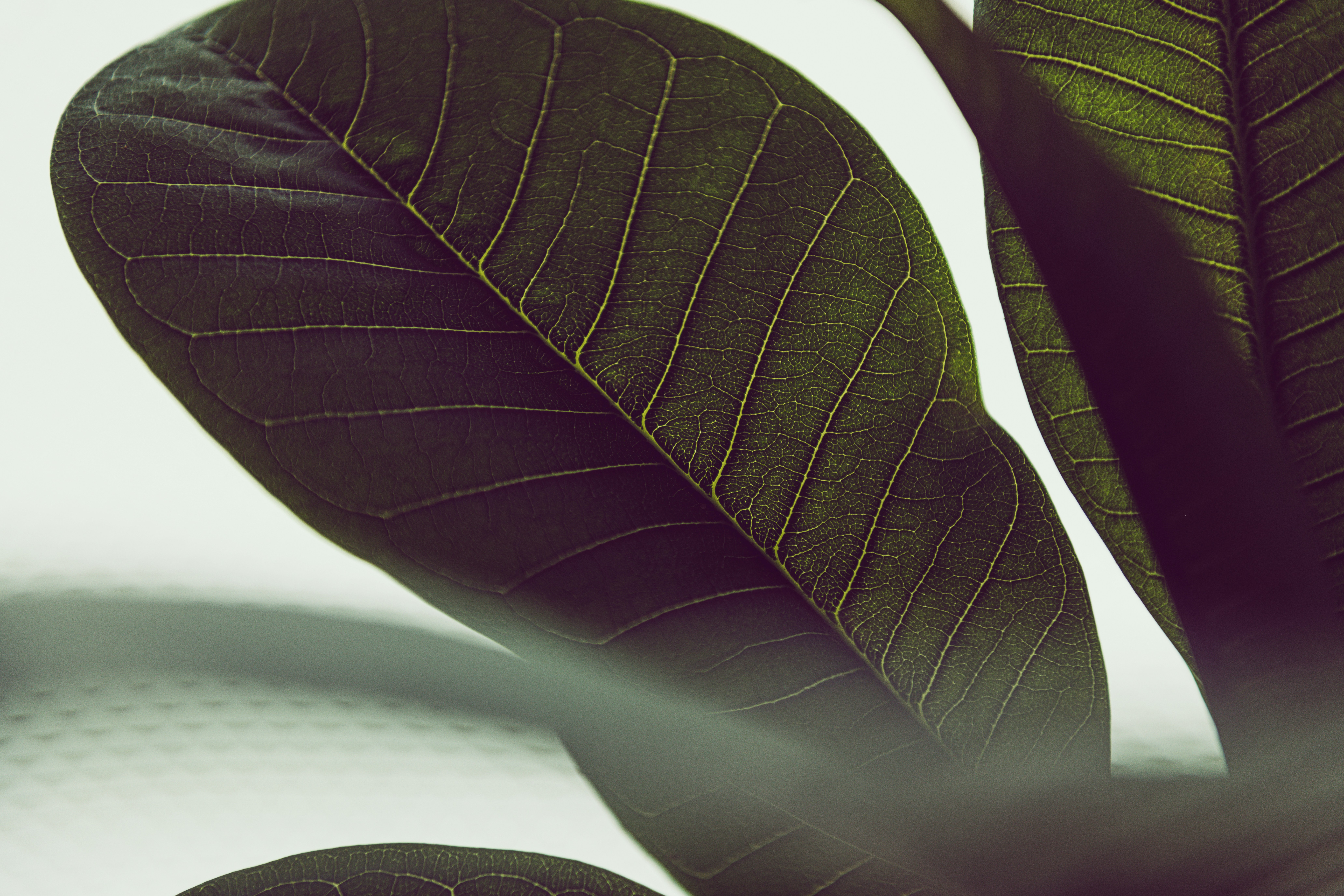 Photo by timmossholder