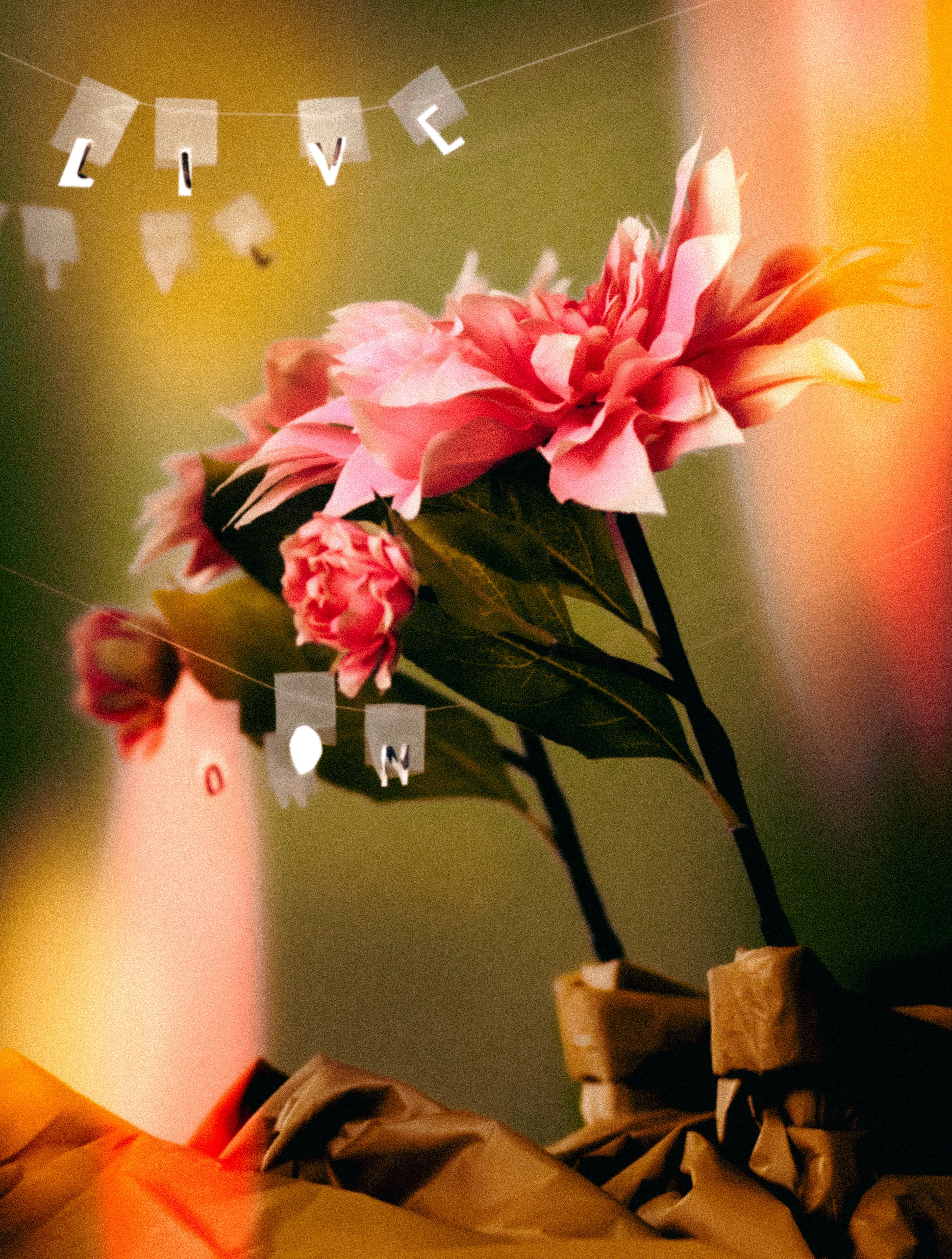 Eine Pflanze mit rosa Blüten