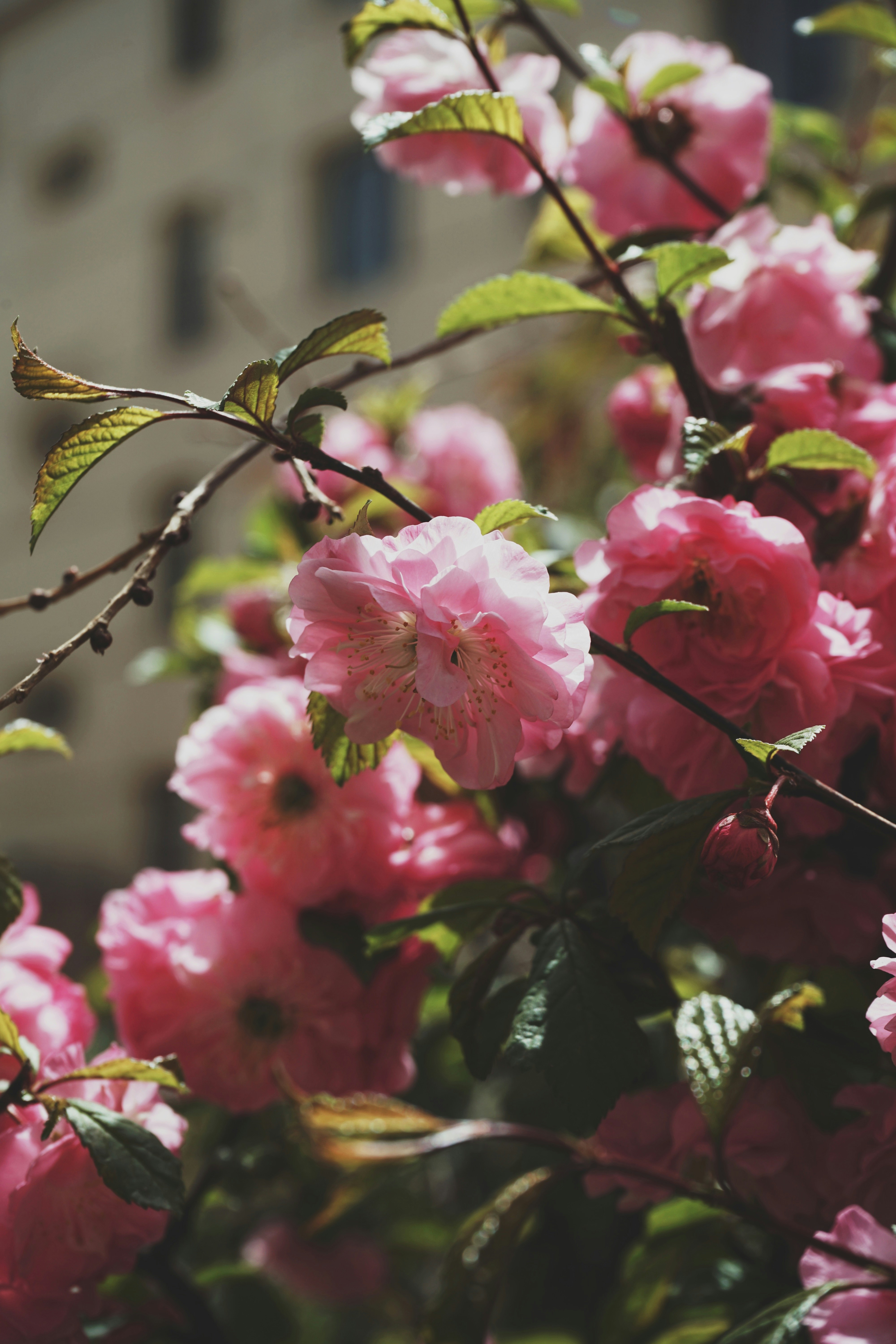 Photo by judahwester