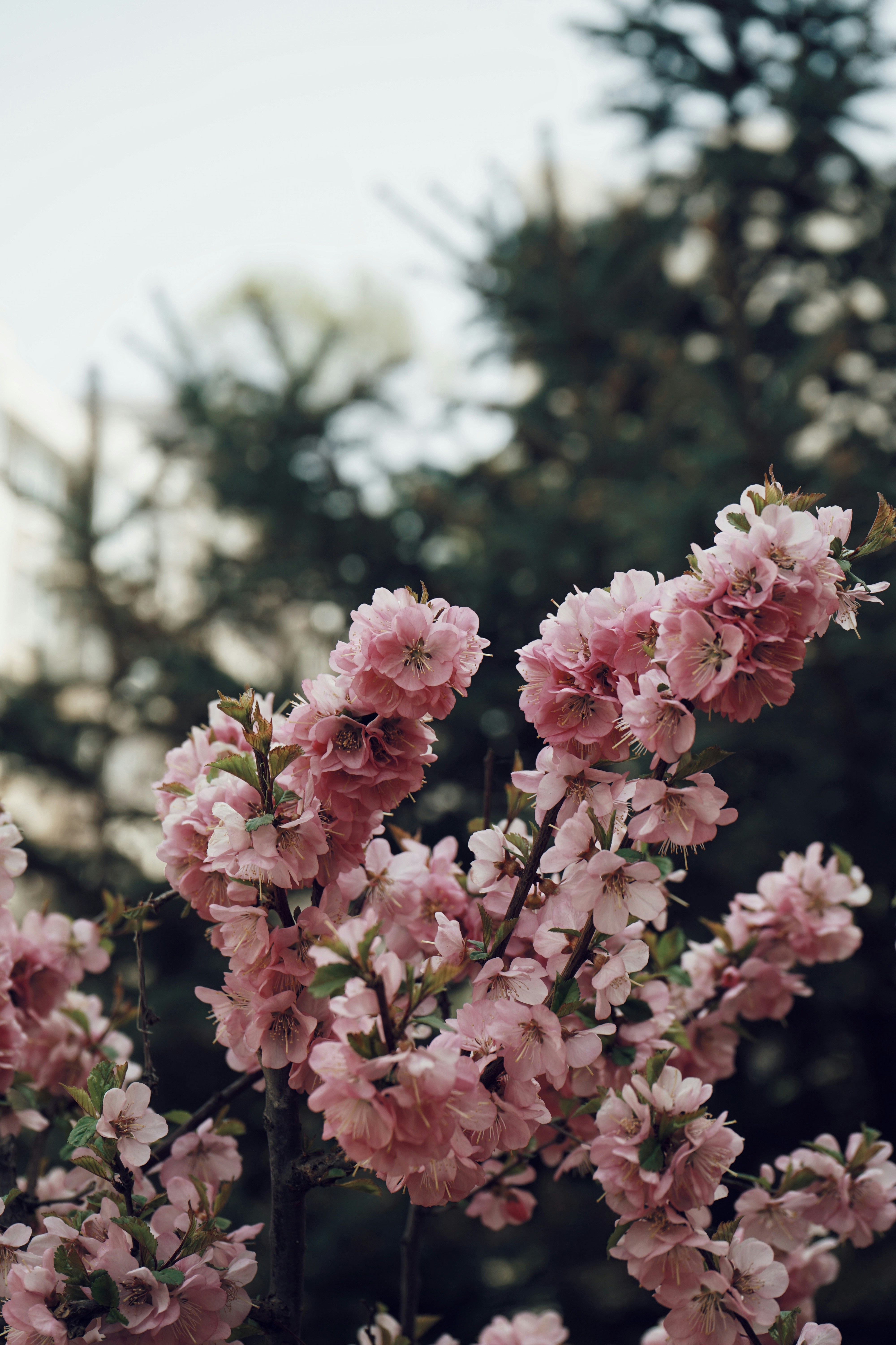 Photo by judahwester