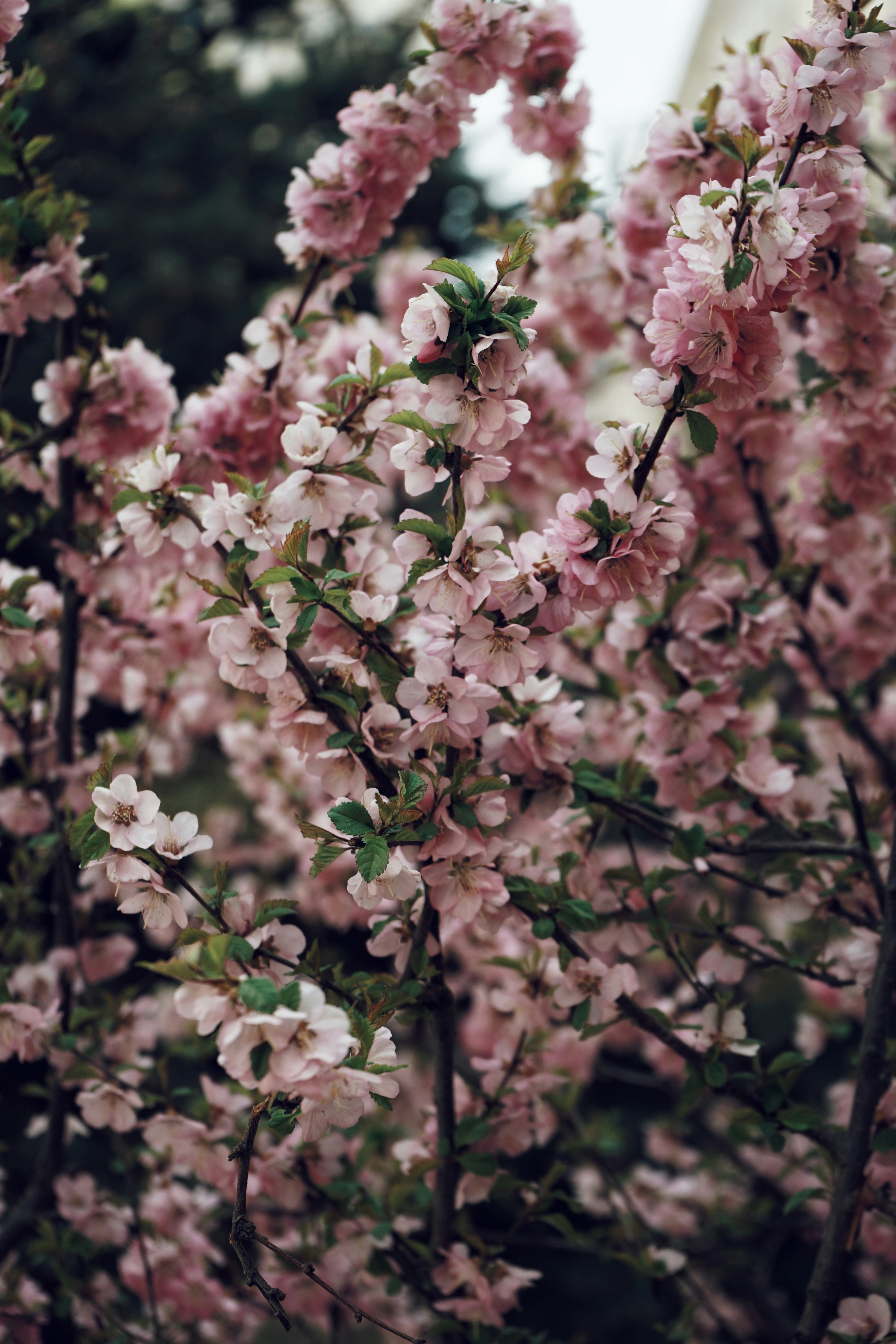 Photo by judahwester