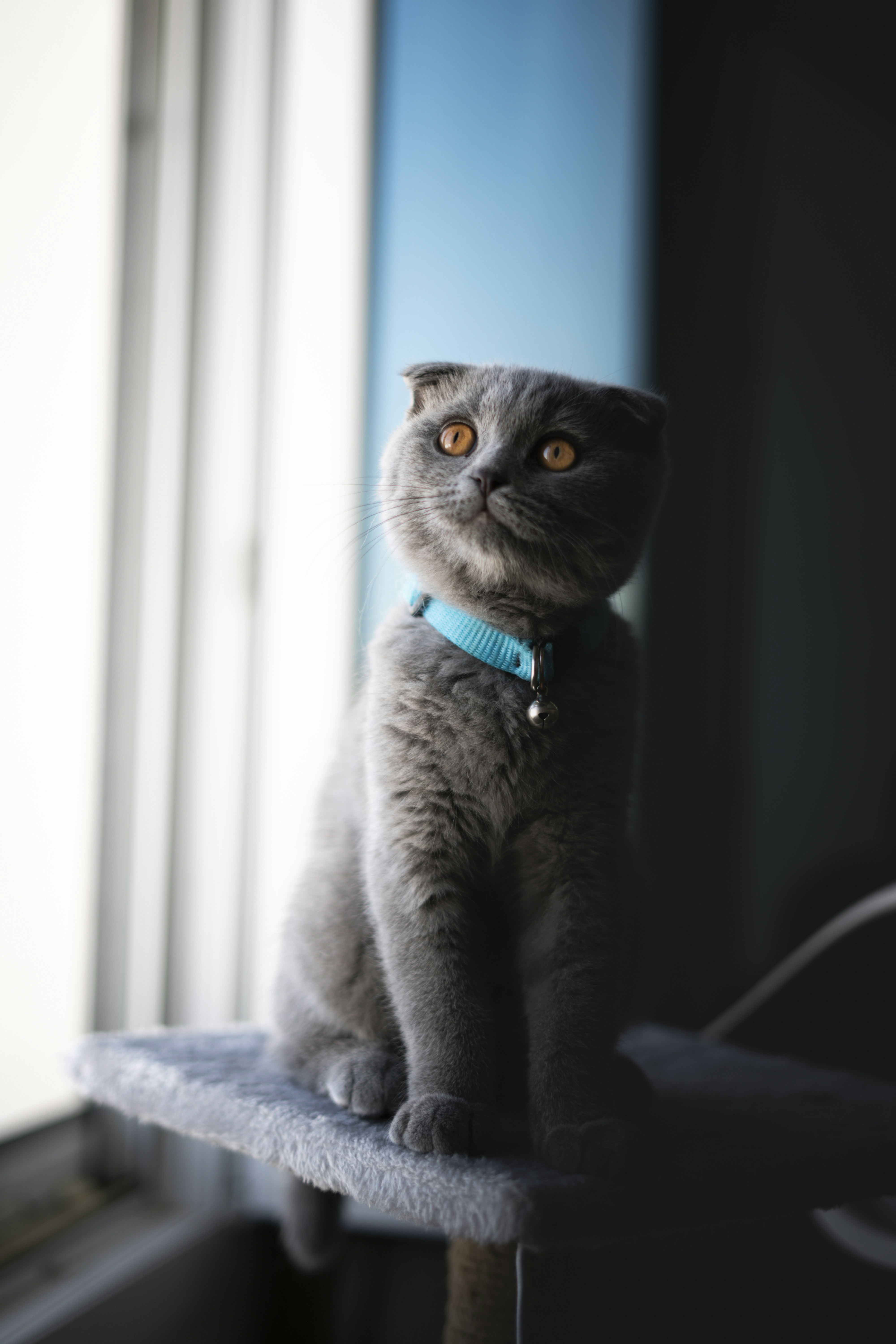 Photo by dubaishutter