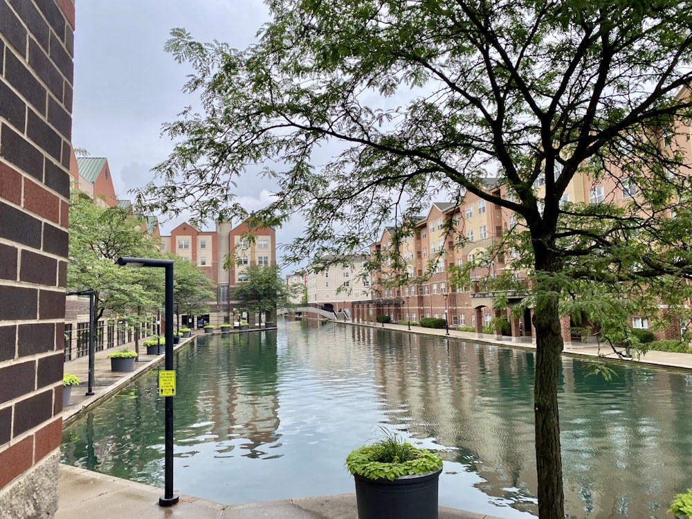 a body of water with buildings in the background