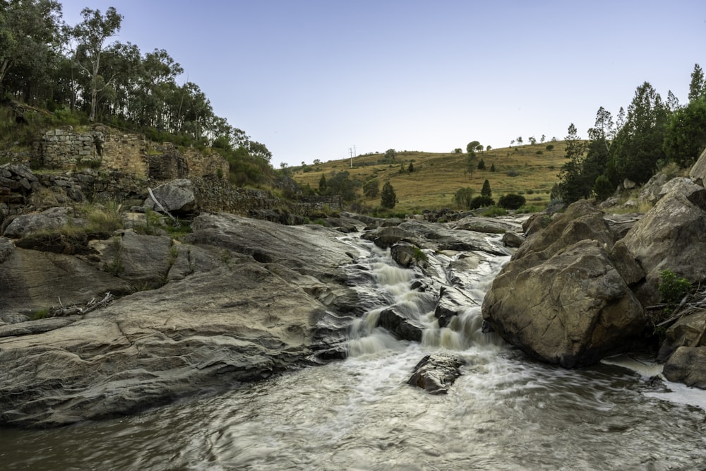 a river with rocks and trees