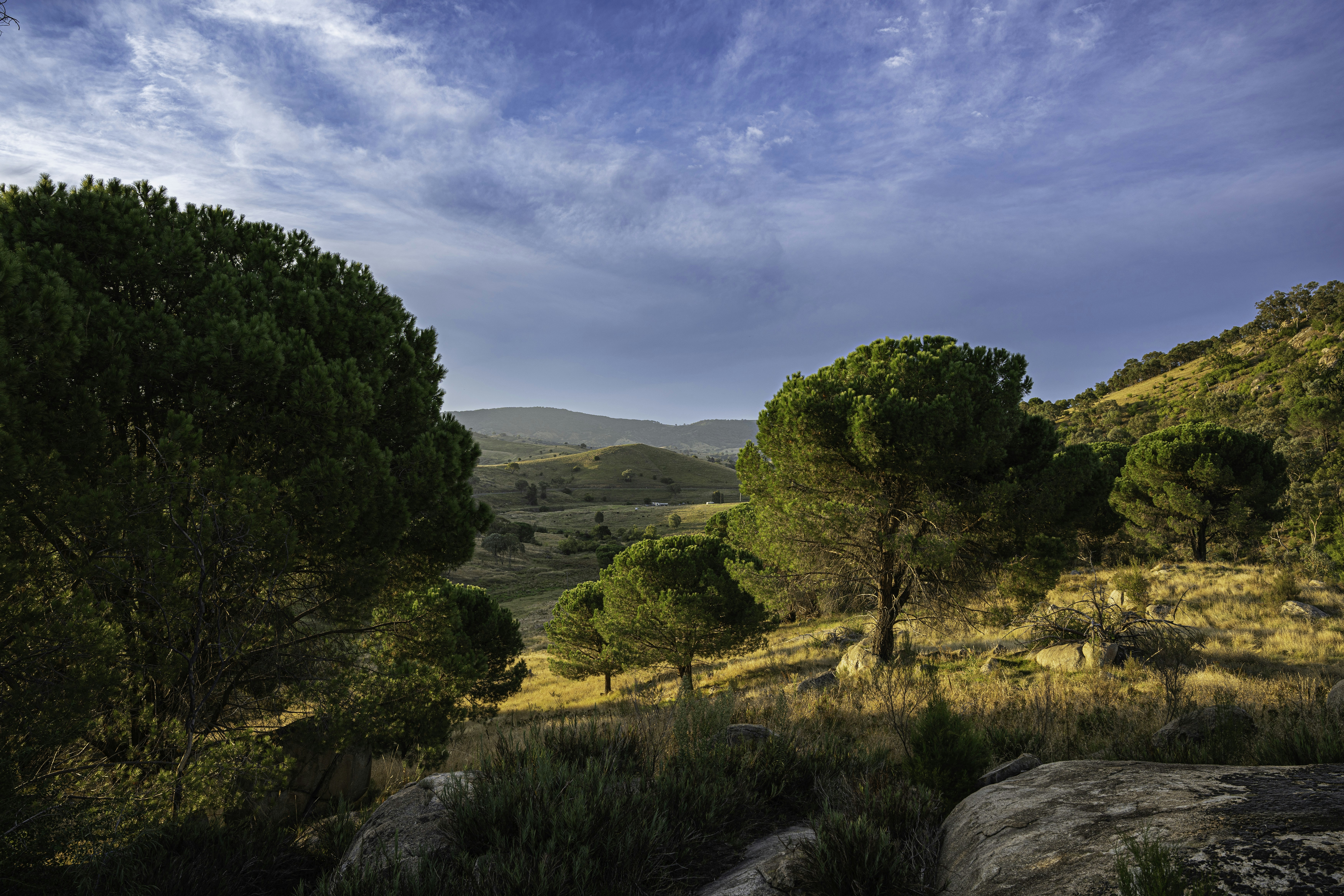 Photo by camerongilroy