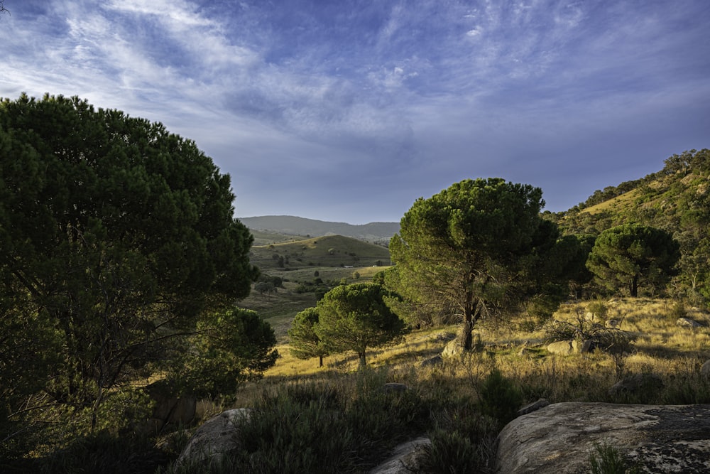 a landscape with trees and hills