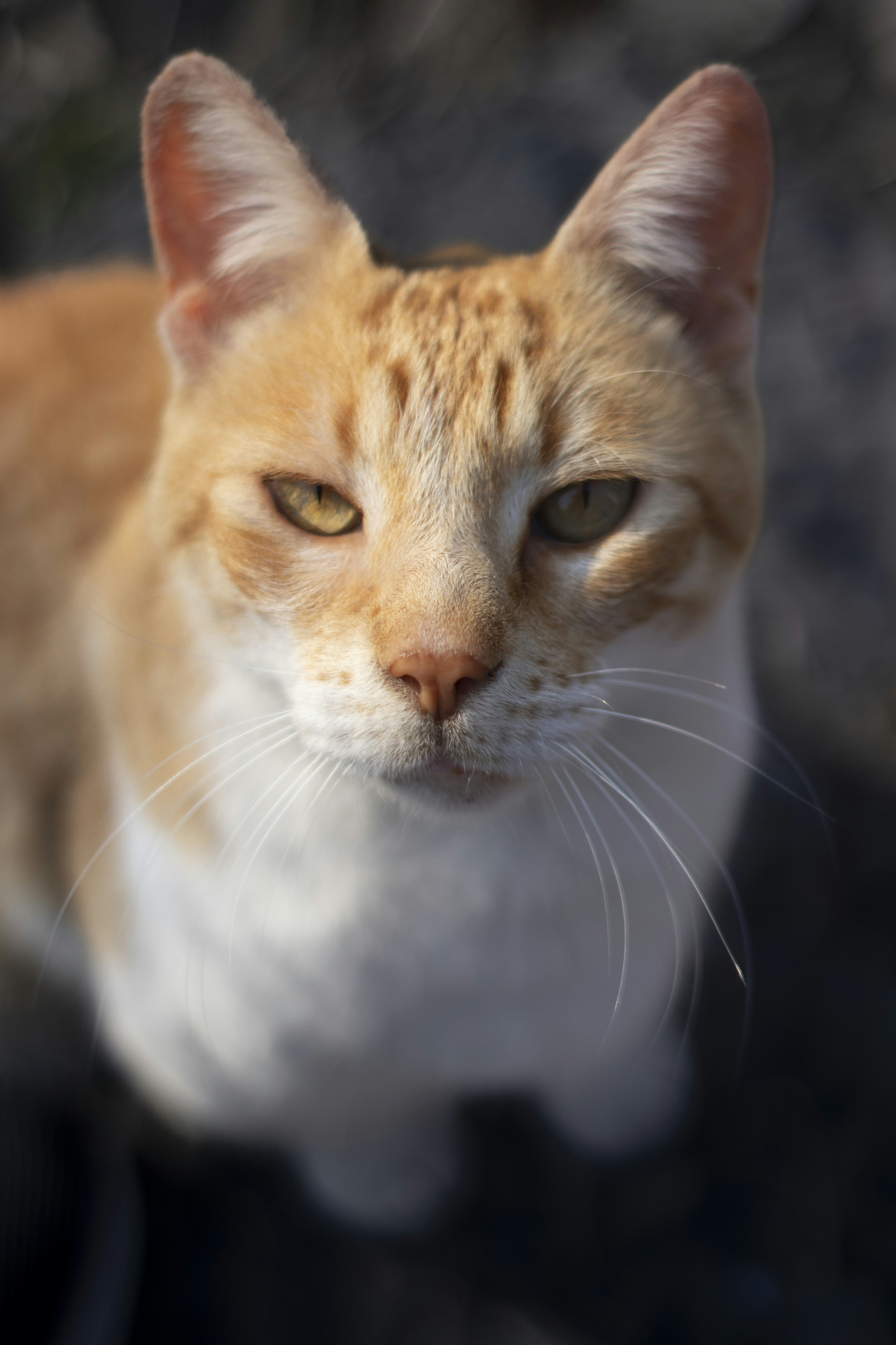 Photo by jfriasgutierrez