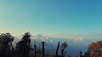 A landscape photo with natural lines leading the eye from the foreground to a softly focused horizon.