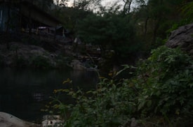 A serene and slightly dimly lit natural scene with dense greenery and rocks surrounding a calm body of water. In the background, there is a rustic hut-like structure partially obscured by the foliage.