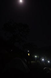 An abandoned campsite with scattered belongings under a moonlit sky.