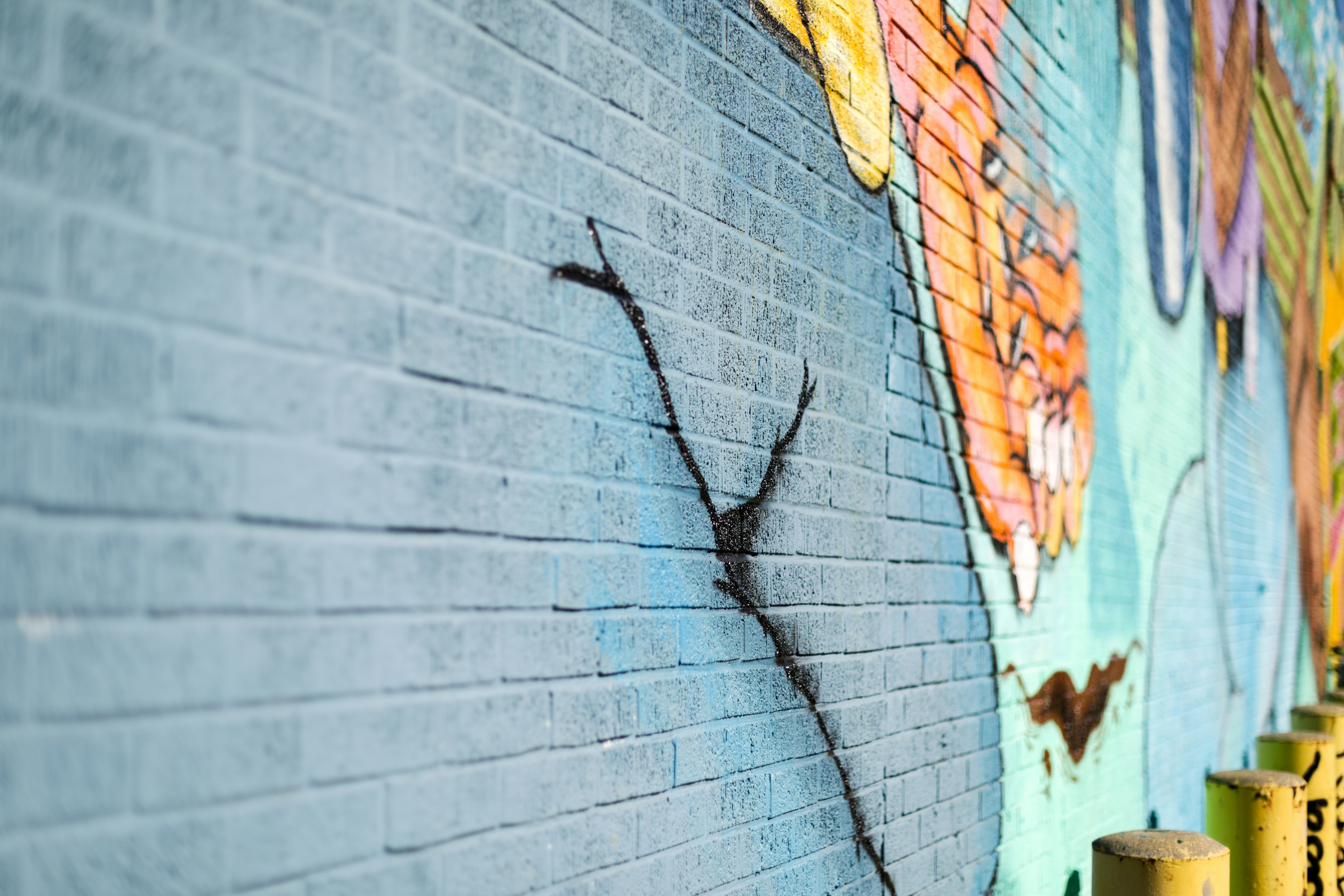 Photo by reallybadnews