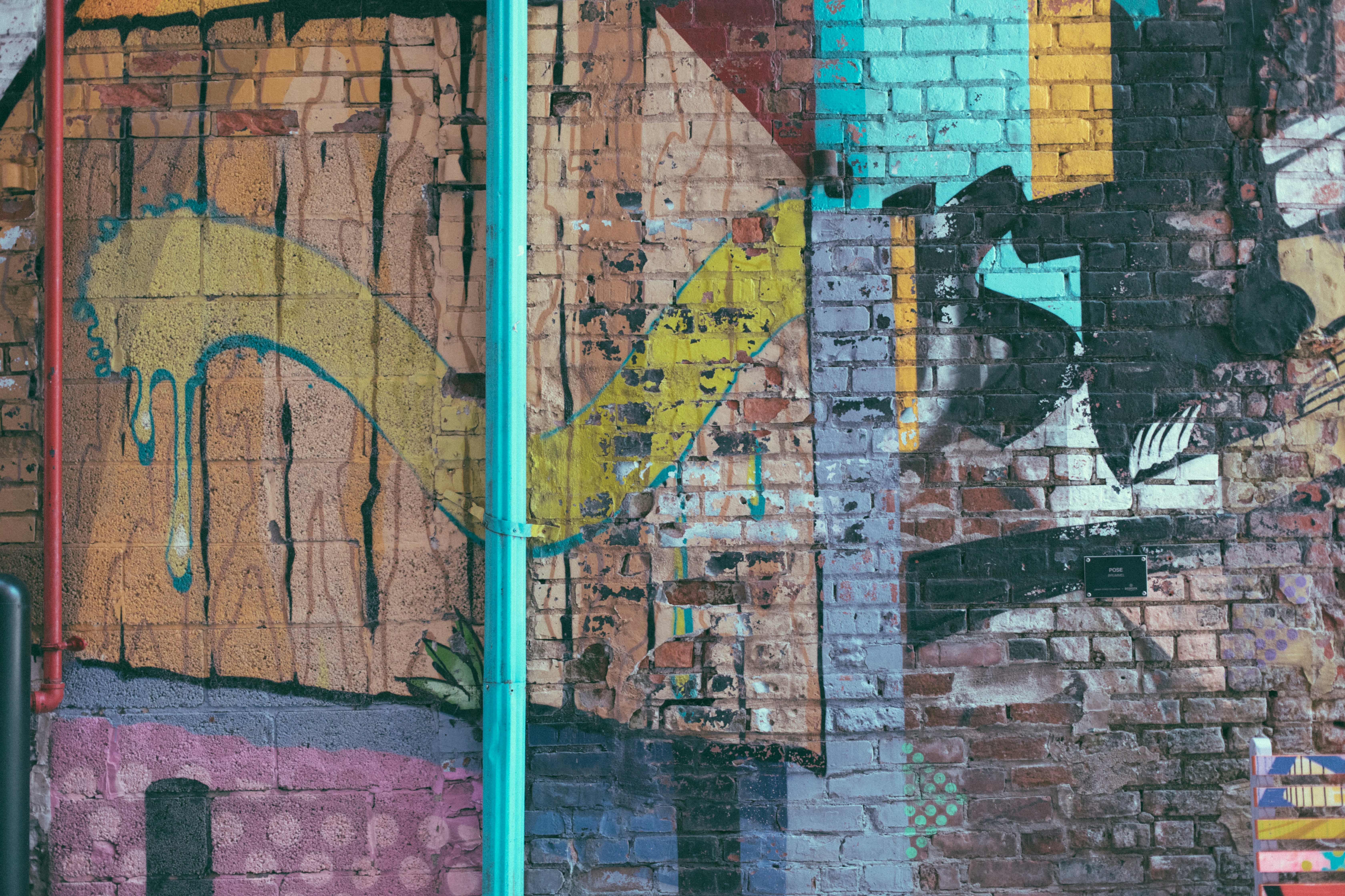 Photo by reallybadnews