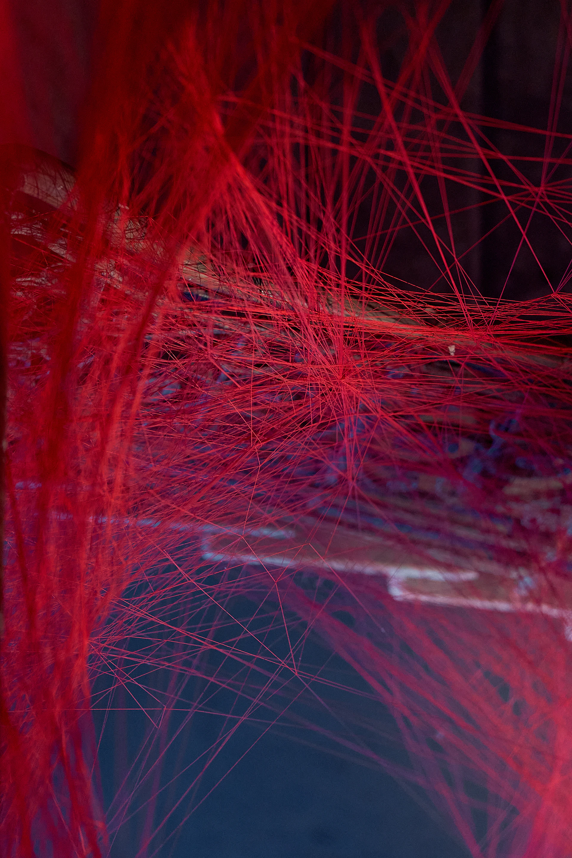 red and blue lines
