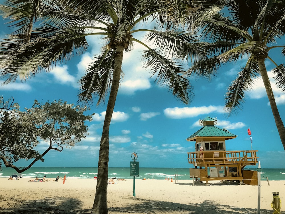 a beach on Sunny Isles