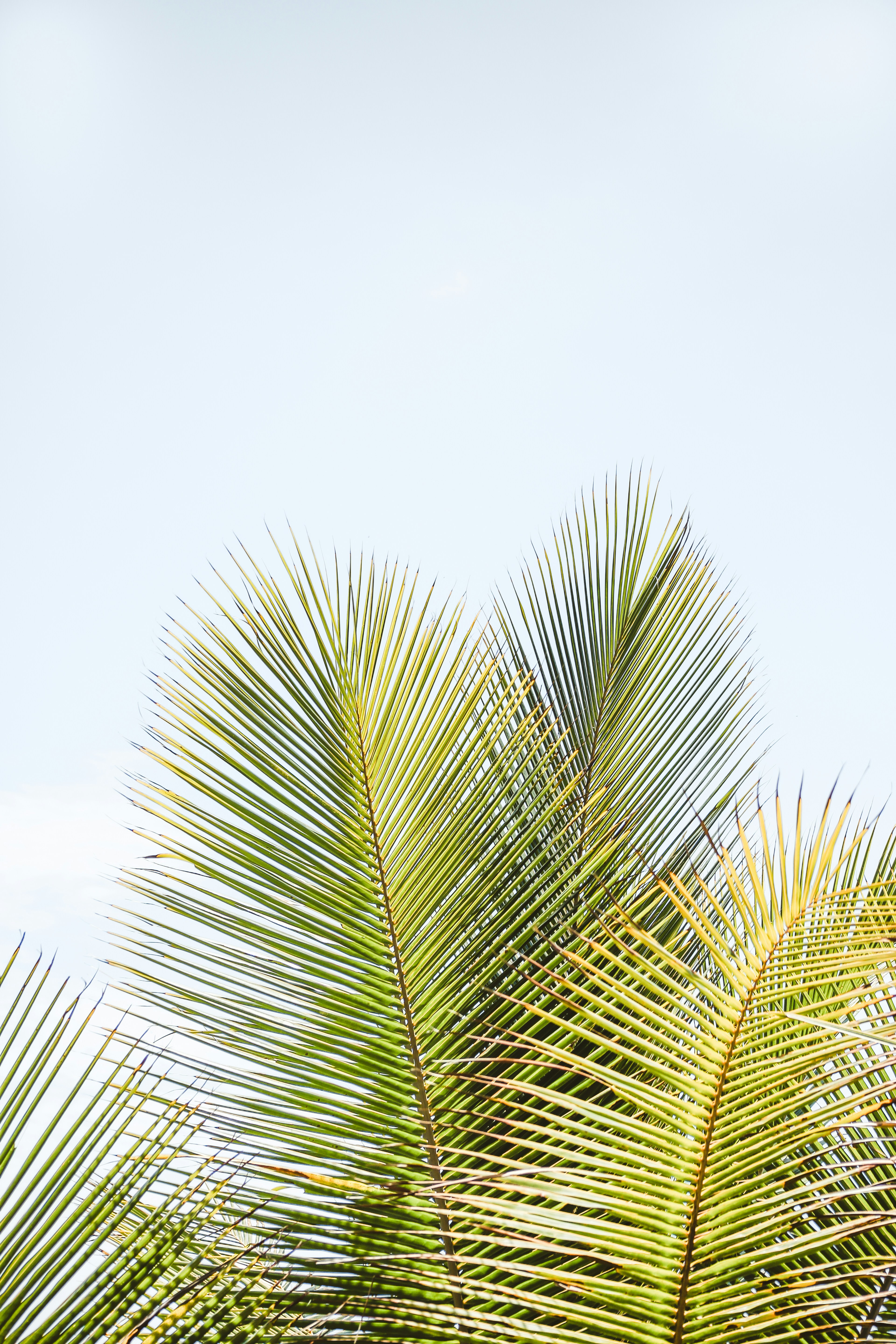 Photo by baileycullenn