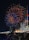 Vibrant fireworks fill the night sky with bursts of red and blue hues, illuminating a large crowd below. People are gathered along a waterfront, with numerous colorful flags lined up on poles. Buildings and a well-lit structure are visible in the background, creating a festive atmosphere.