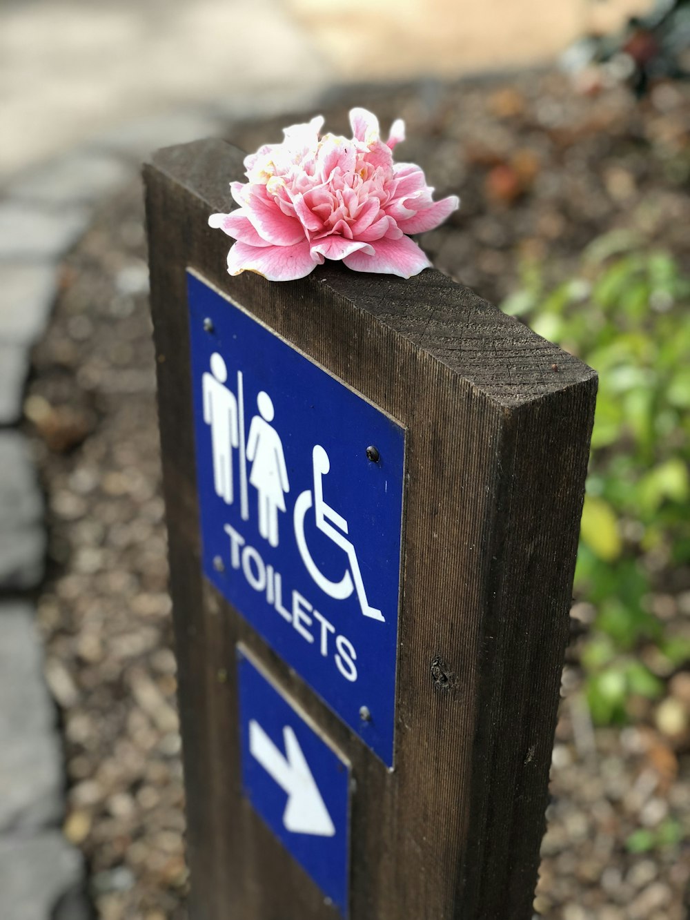 a flower on a sign
