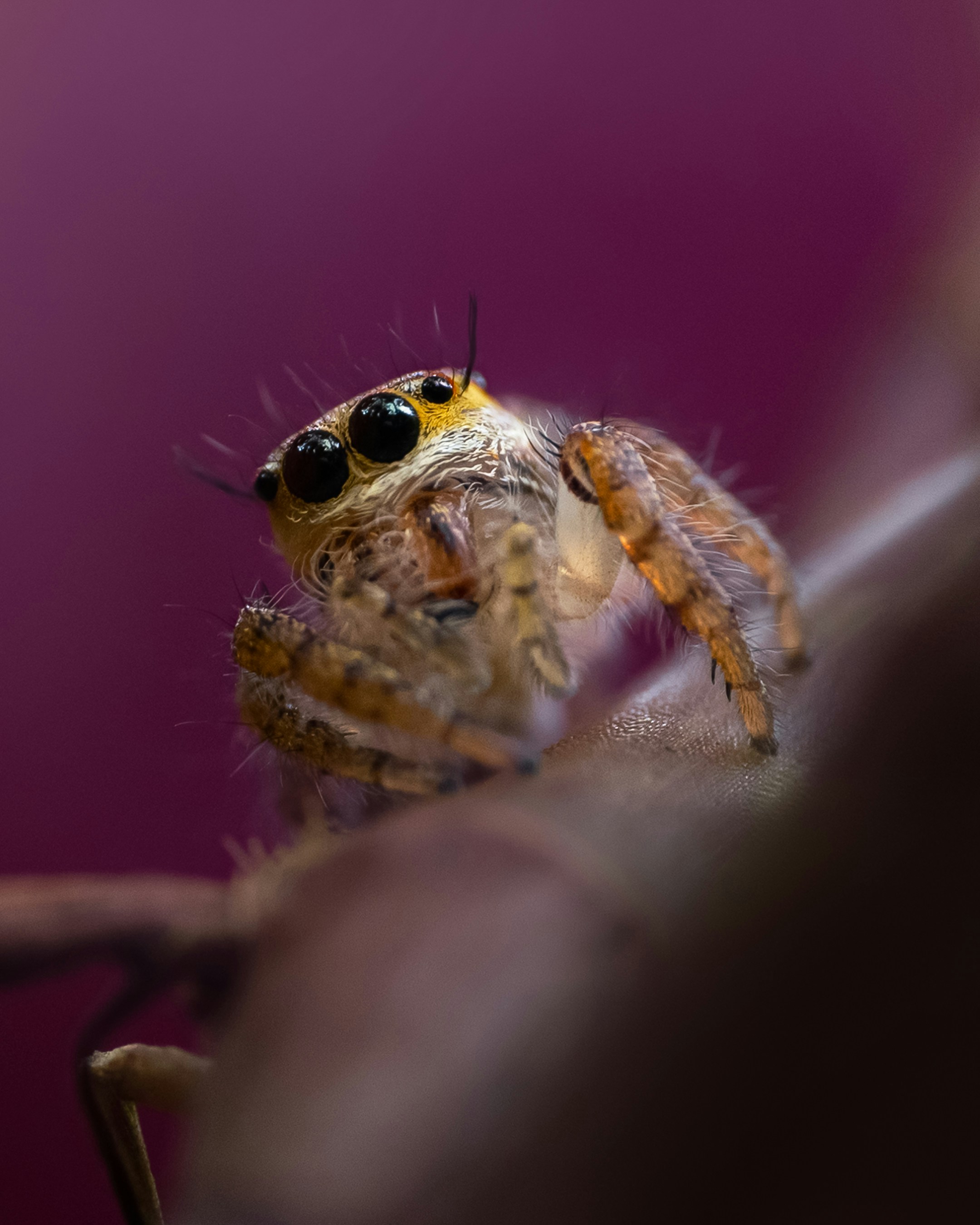 Photo by sahilmohamme841