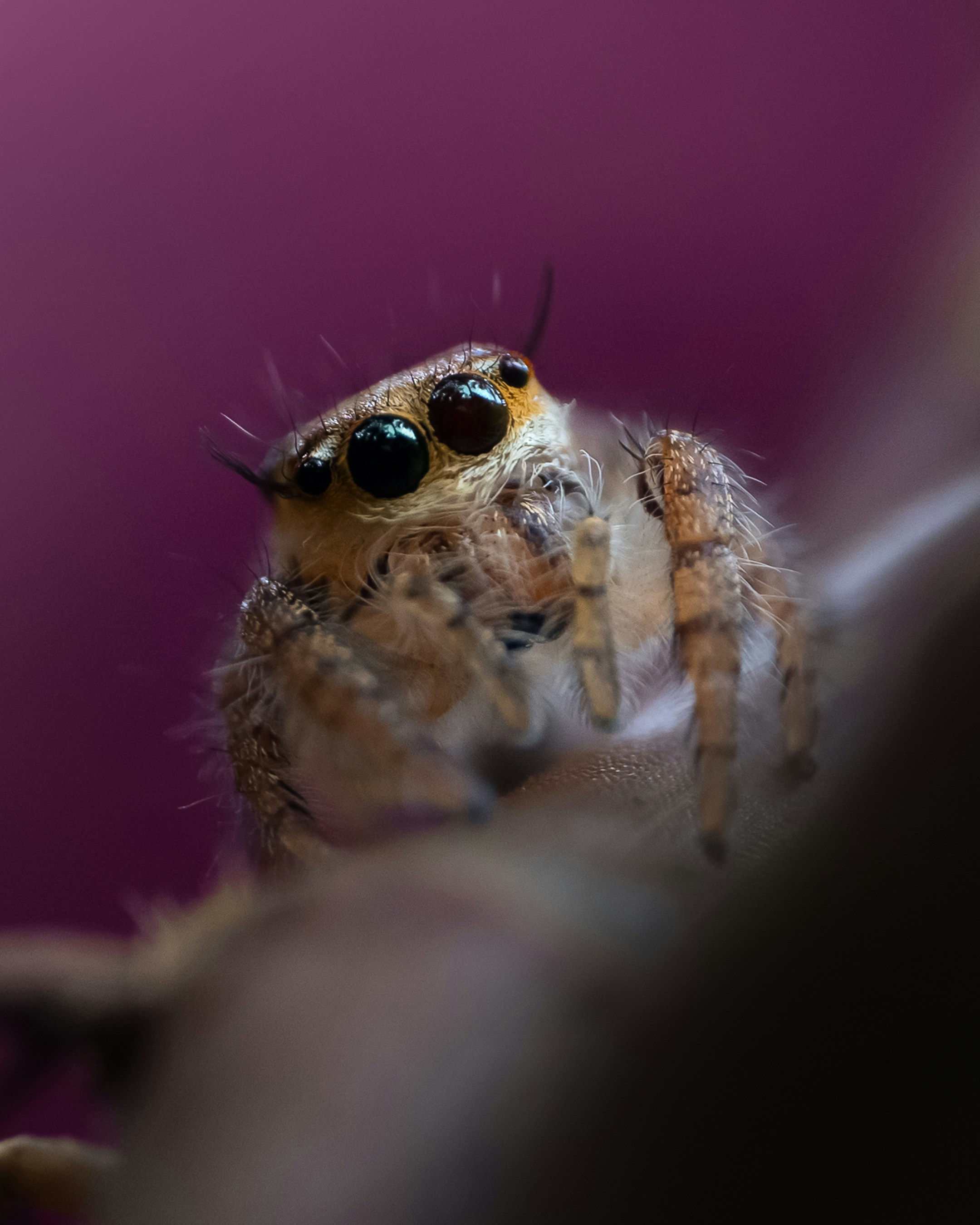 What eye color catches your attention the most?