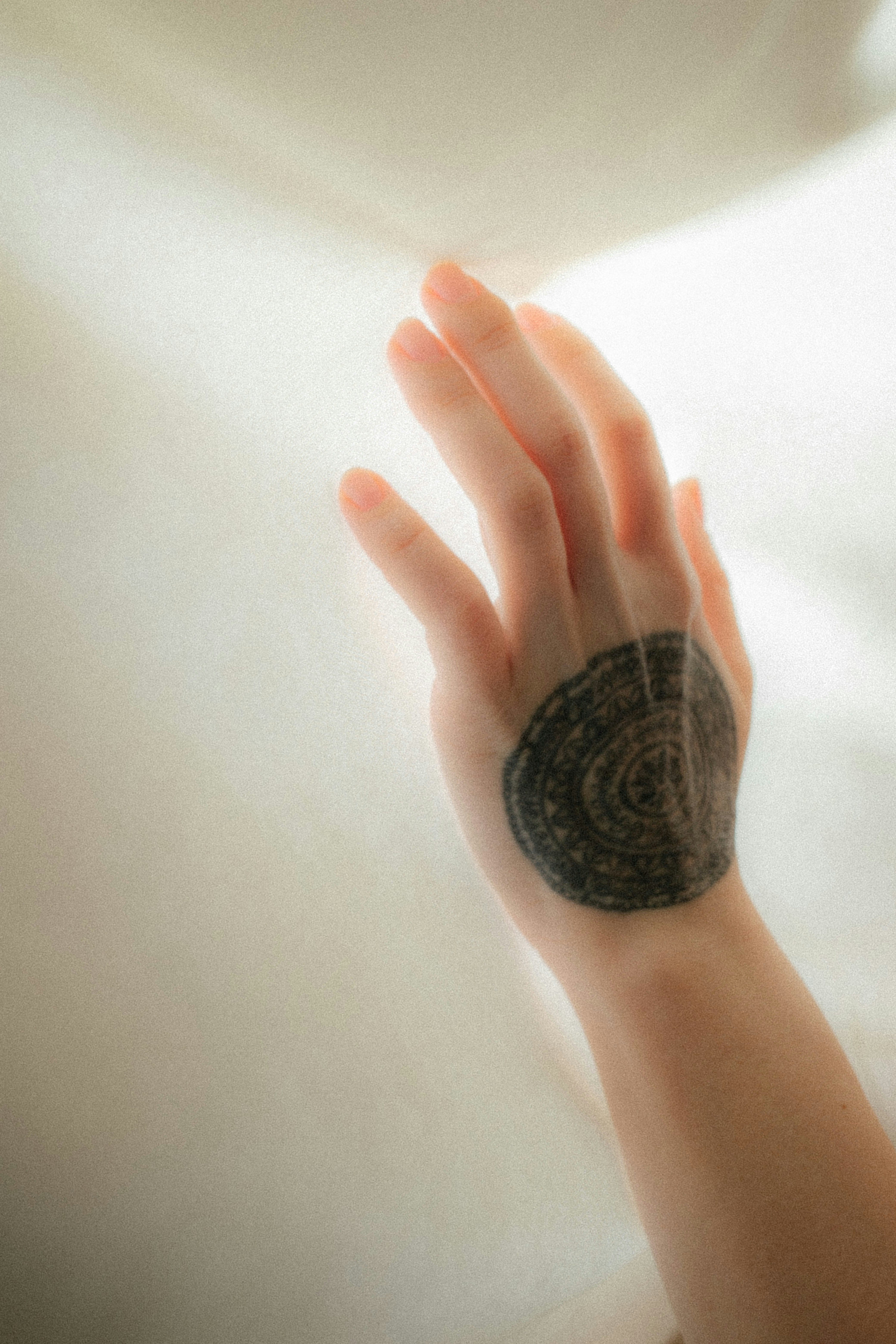 a hand holding a small rock