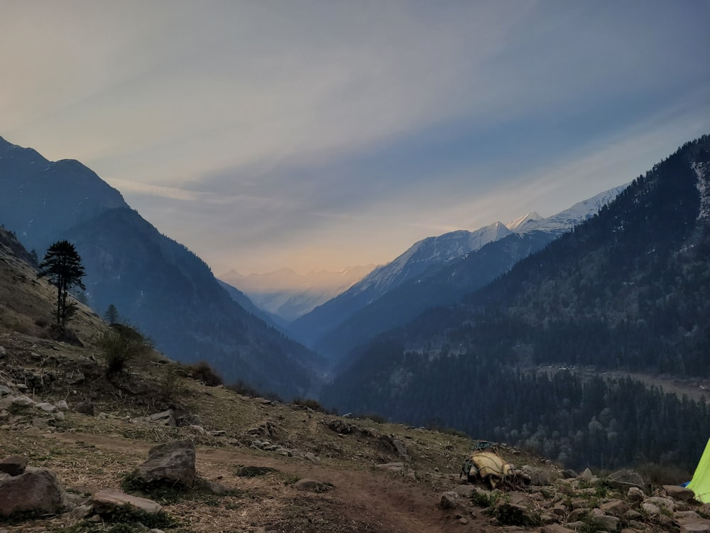 a rocky and grassy area with mountains in the background