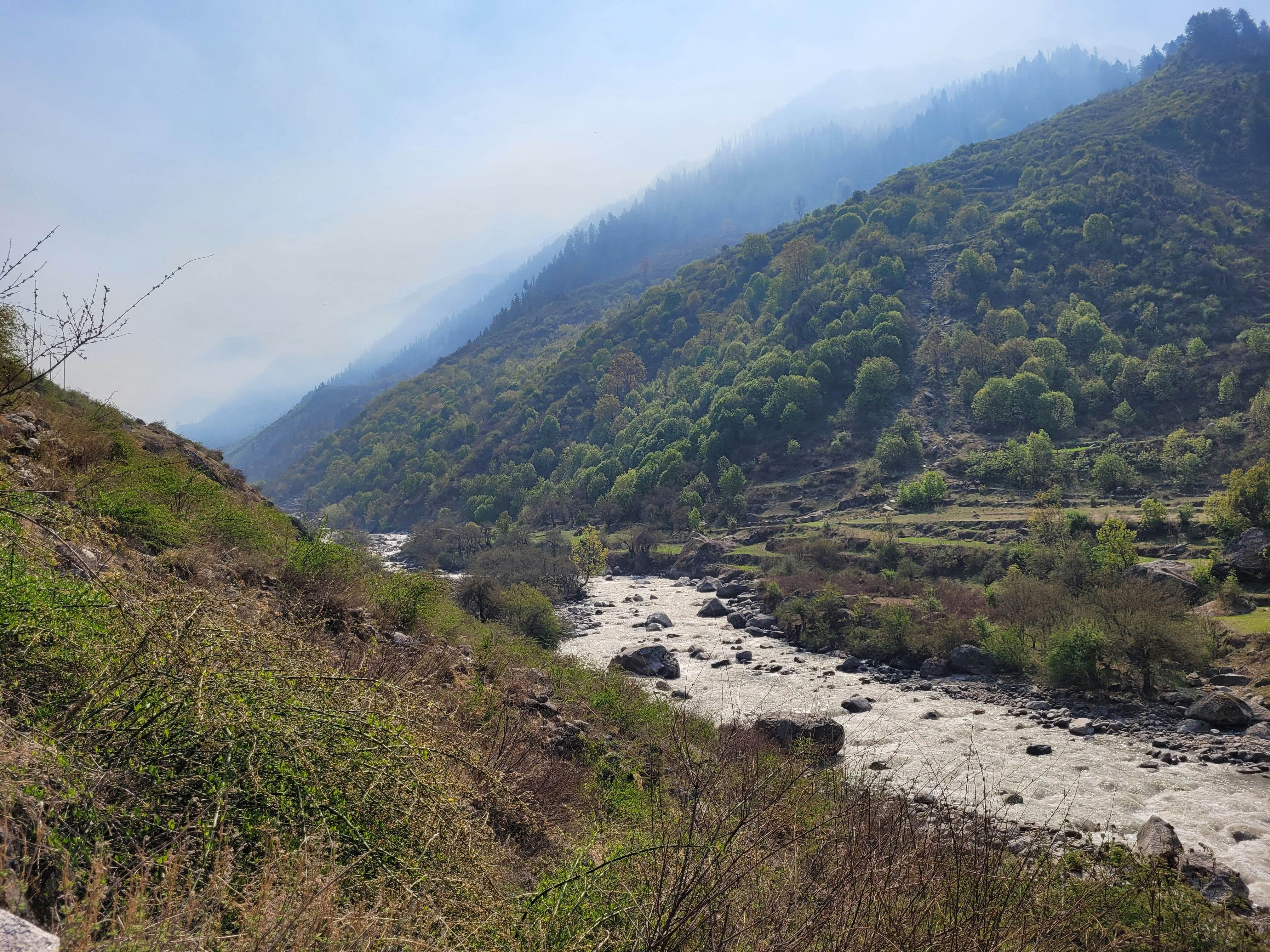 경북 산불 피해자 재난지원금 신청 절차 안내