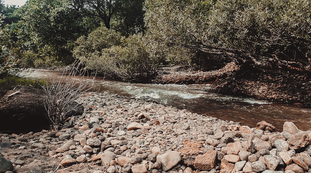 a river with rocks and trees