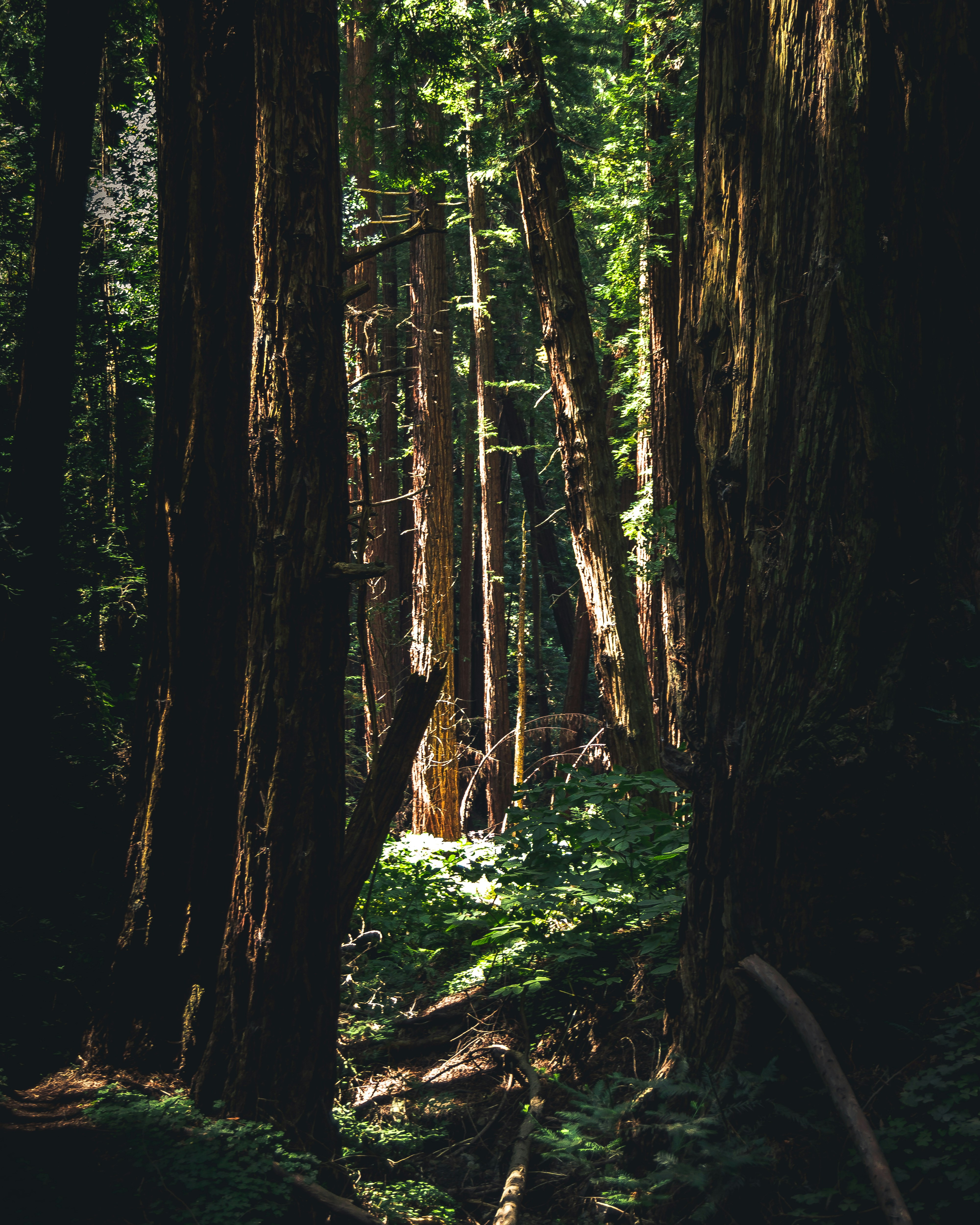 Photo by teleterapia_fi