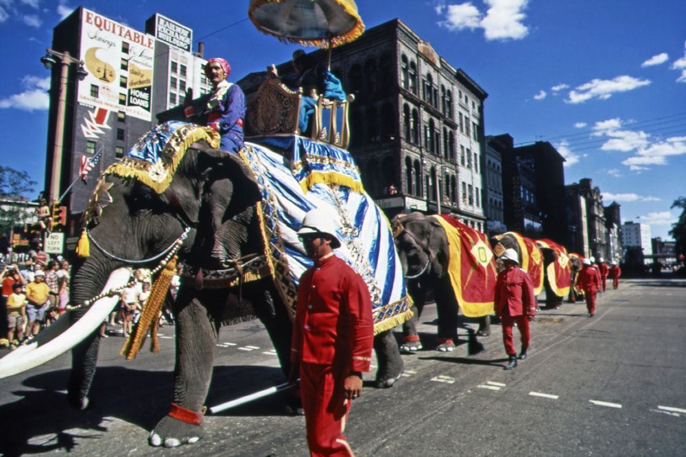 赤いスーツを着た人が大きなトランクを持った象の隣を歩く