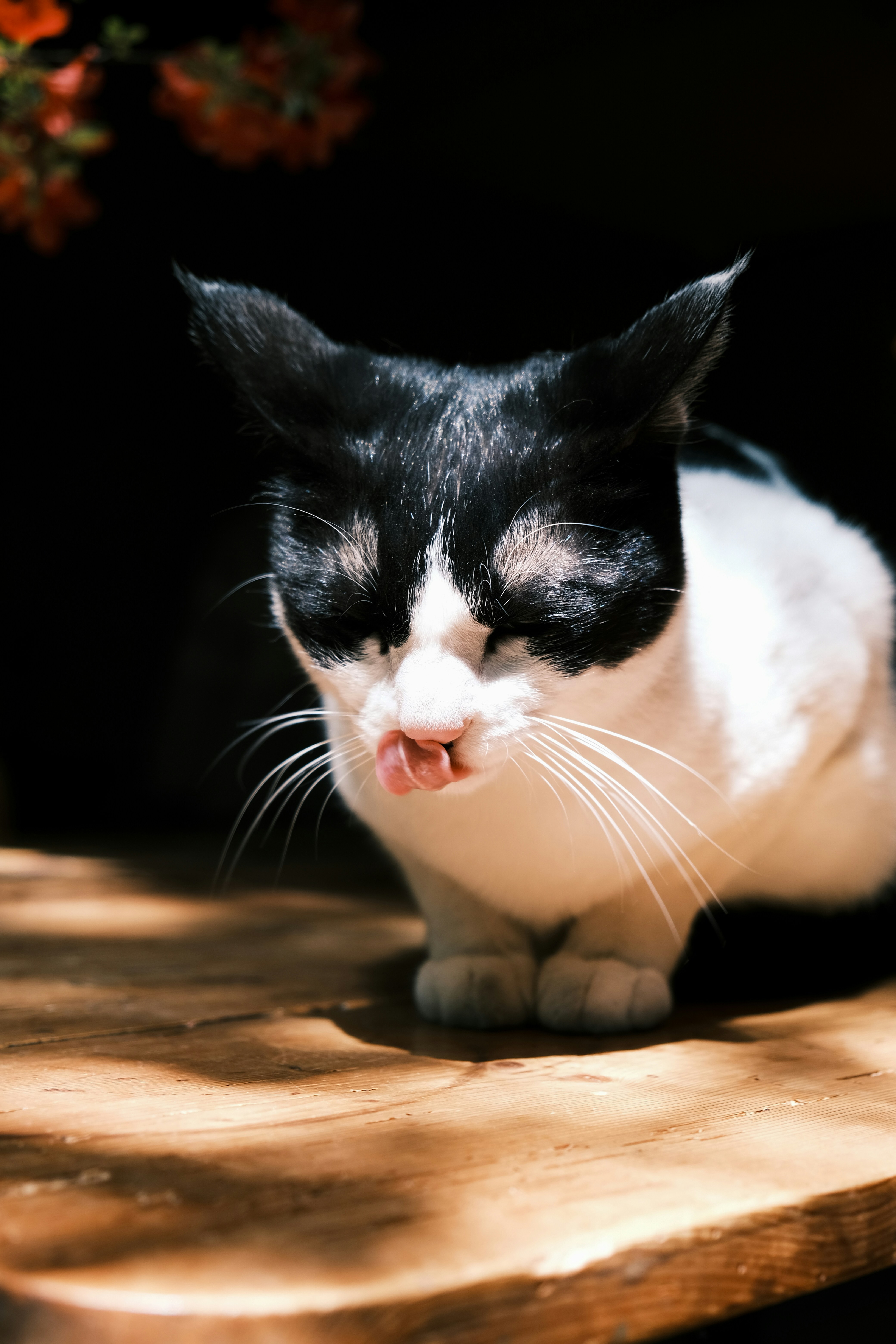 The Fashion and Design World Takes Notice (image credits: unsplash)