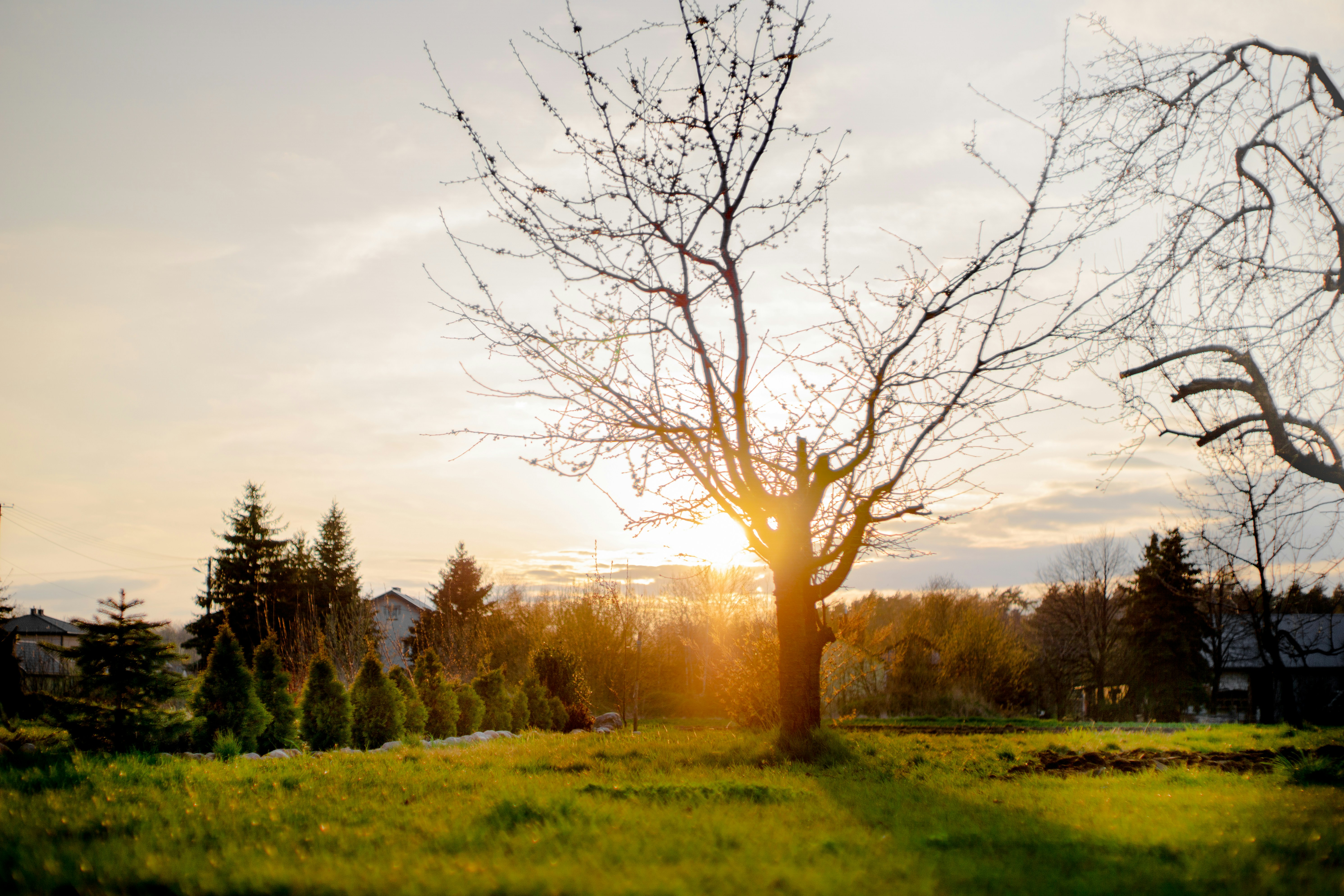 Photo by kamilpphotos