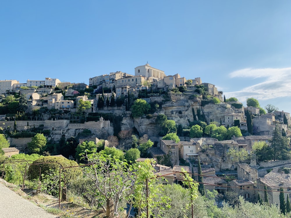 a hillside with trees and buildings