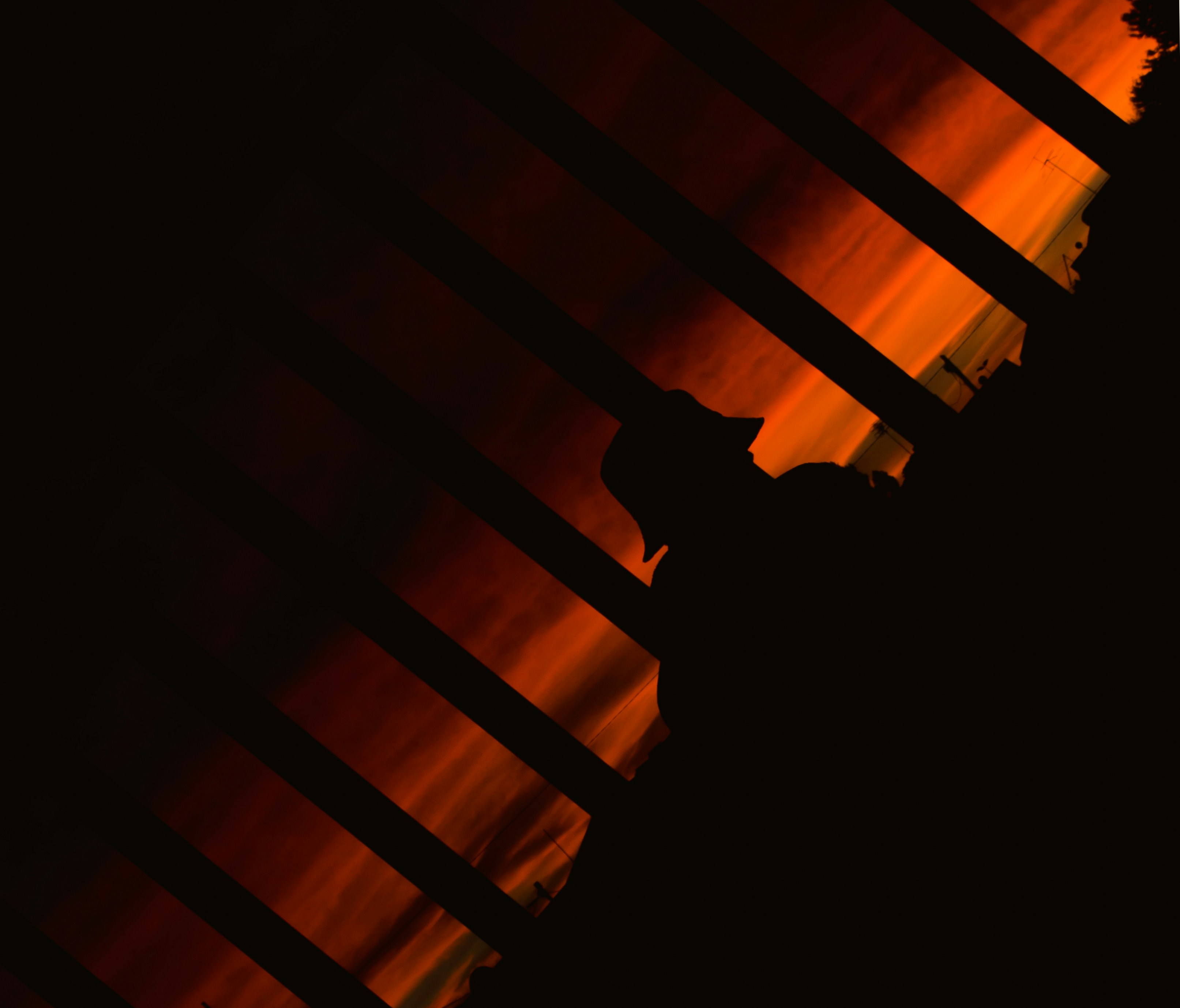 Photo by nestergrapher