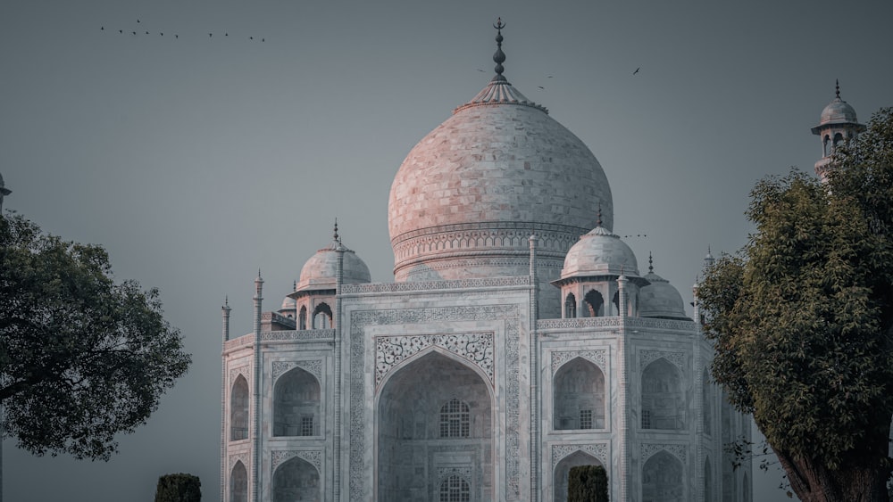 a large white building with domed roofs