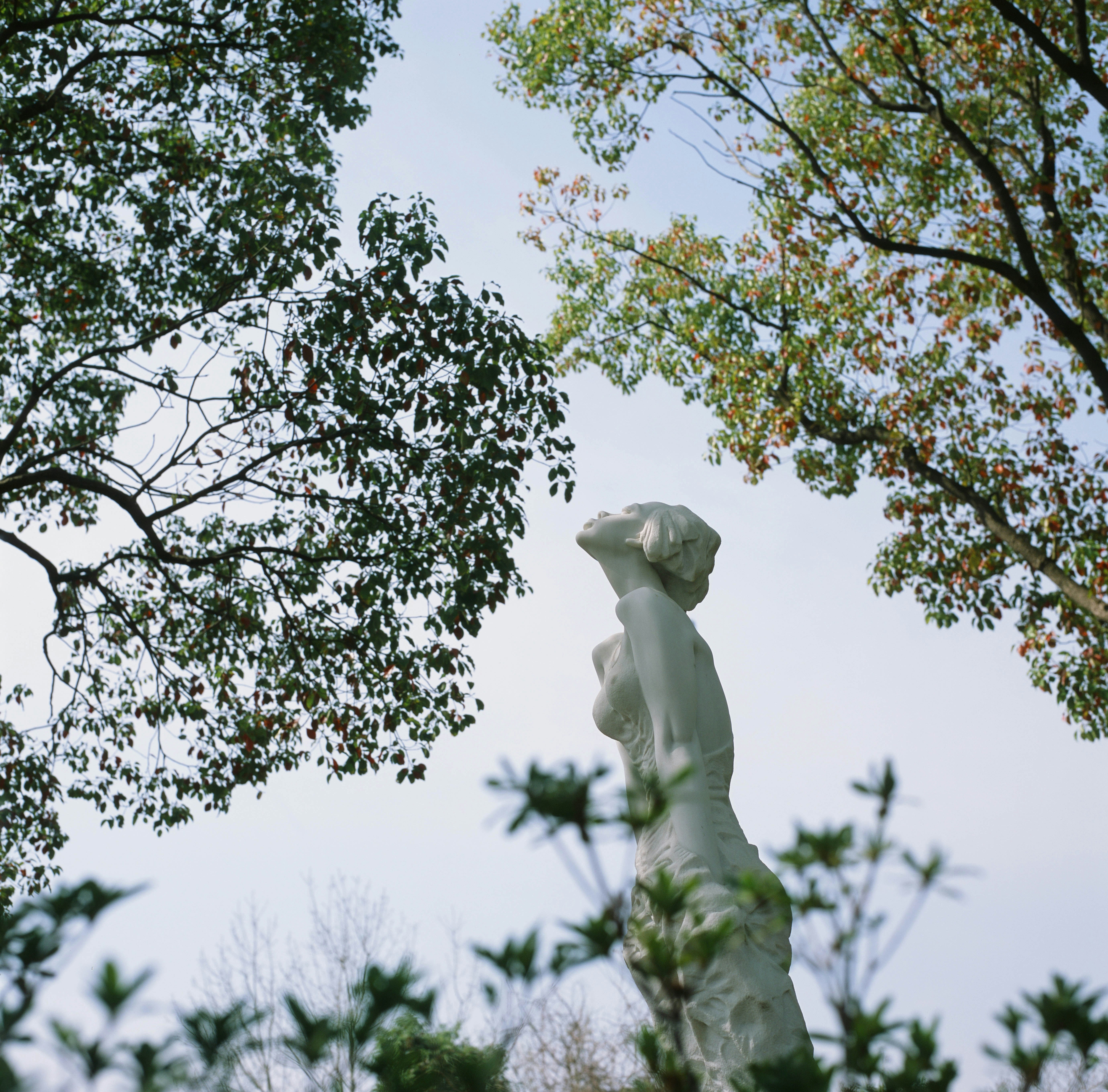 Optical and Eye Care Business Financing: Eyeglass Store Loans