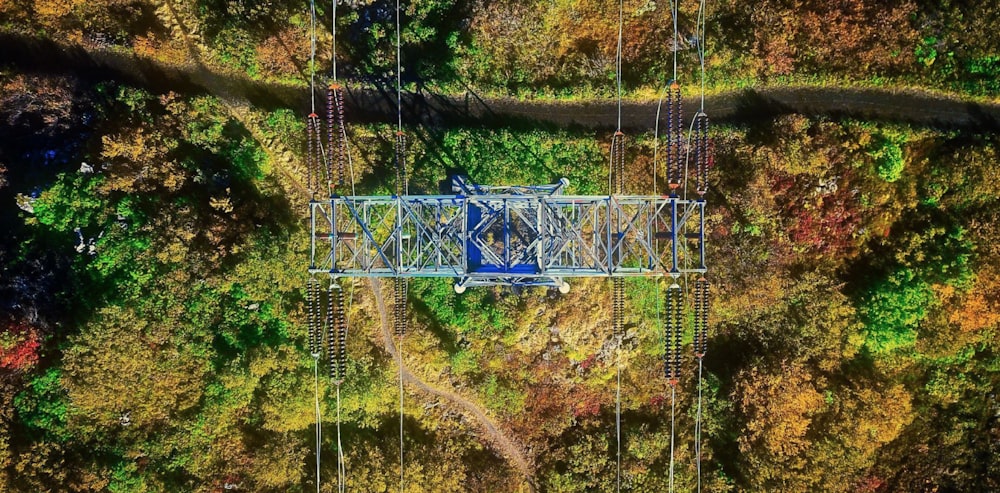 a roller coaster going through a forest