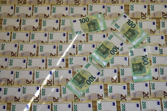 A collection of Euro banknotes, predominantly featuring 100 and 200 euro notes, arranged in a slightly overlapping pattern on a surface. The positioning of the notes creates a sense of abundance and wealth.