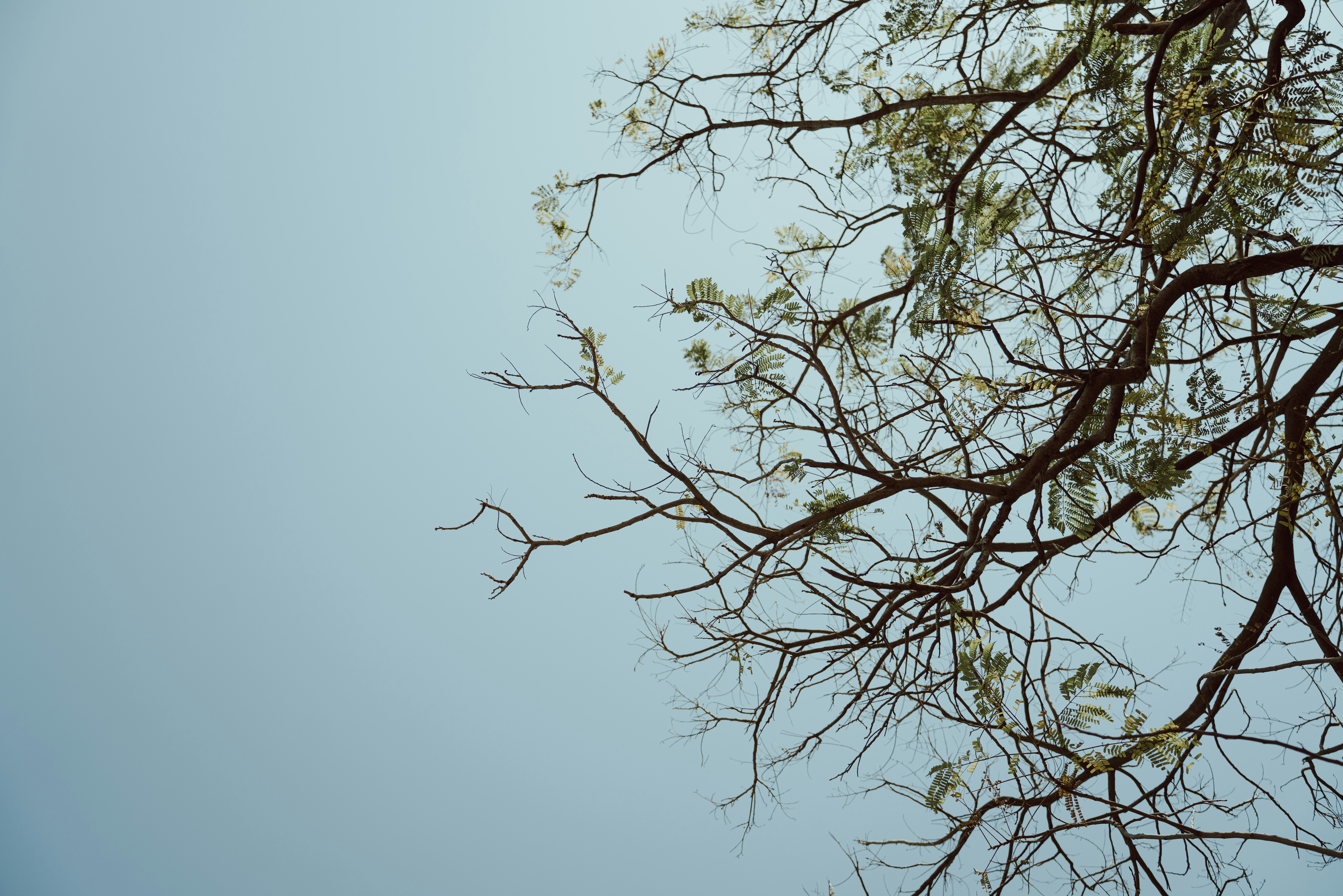 Photo by viditgoswami