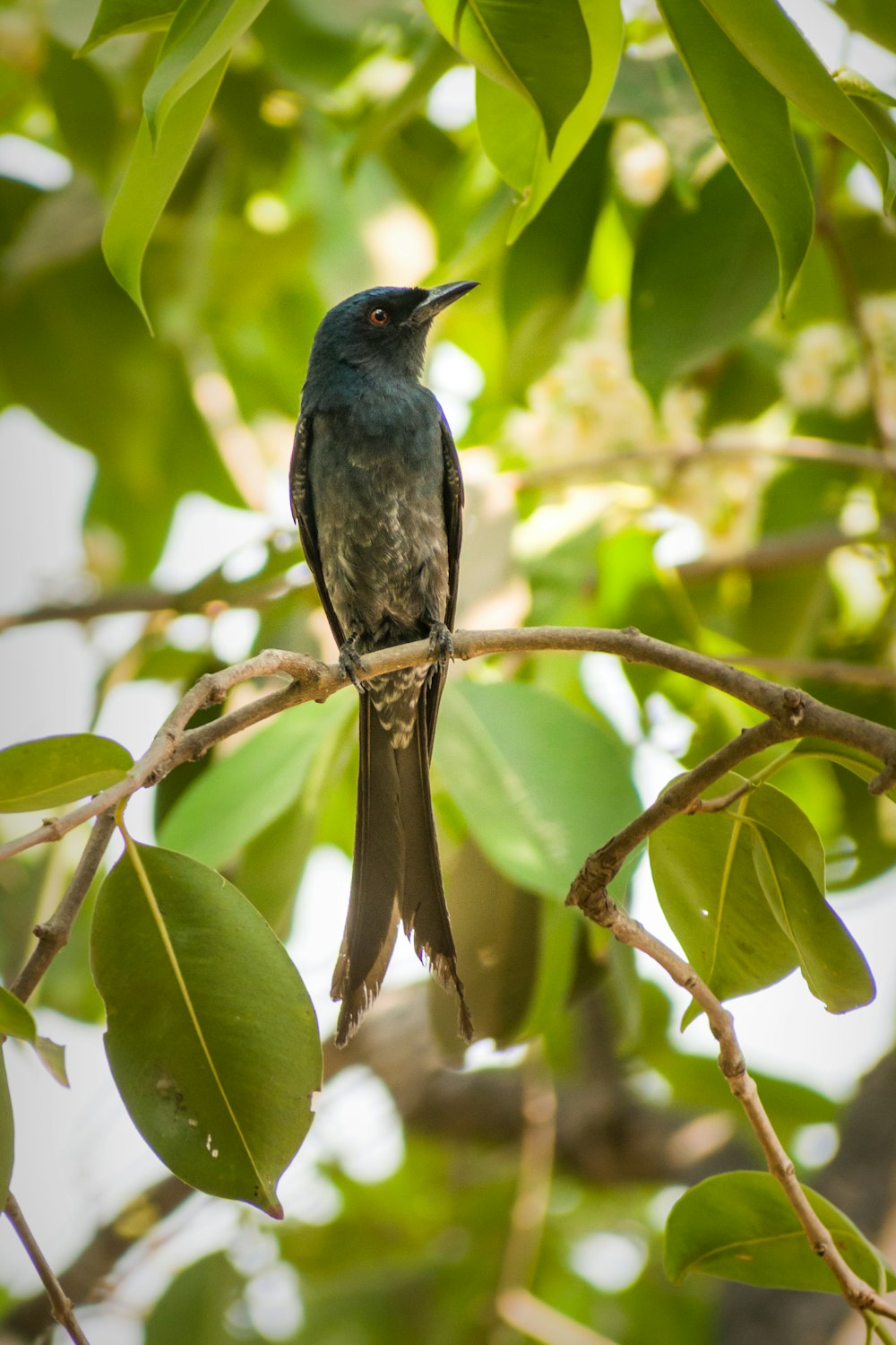 a bird perched on a branch