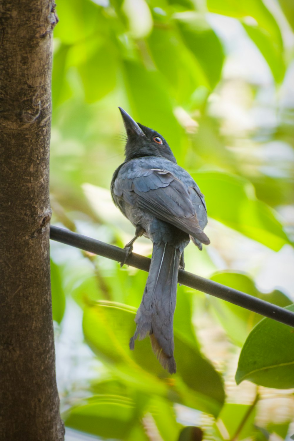 a bird perched on a branch