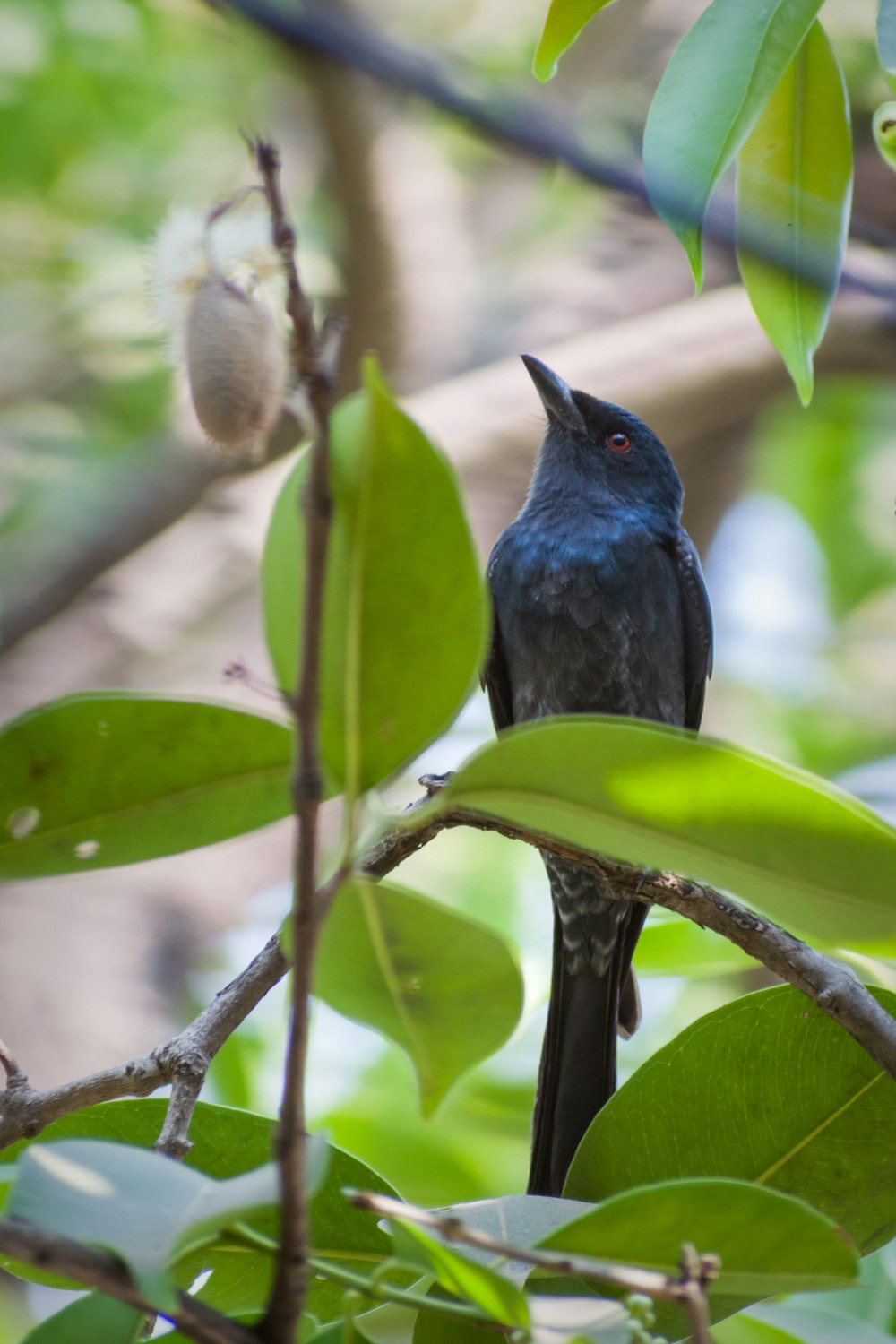 a bird perched on a branch