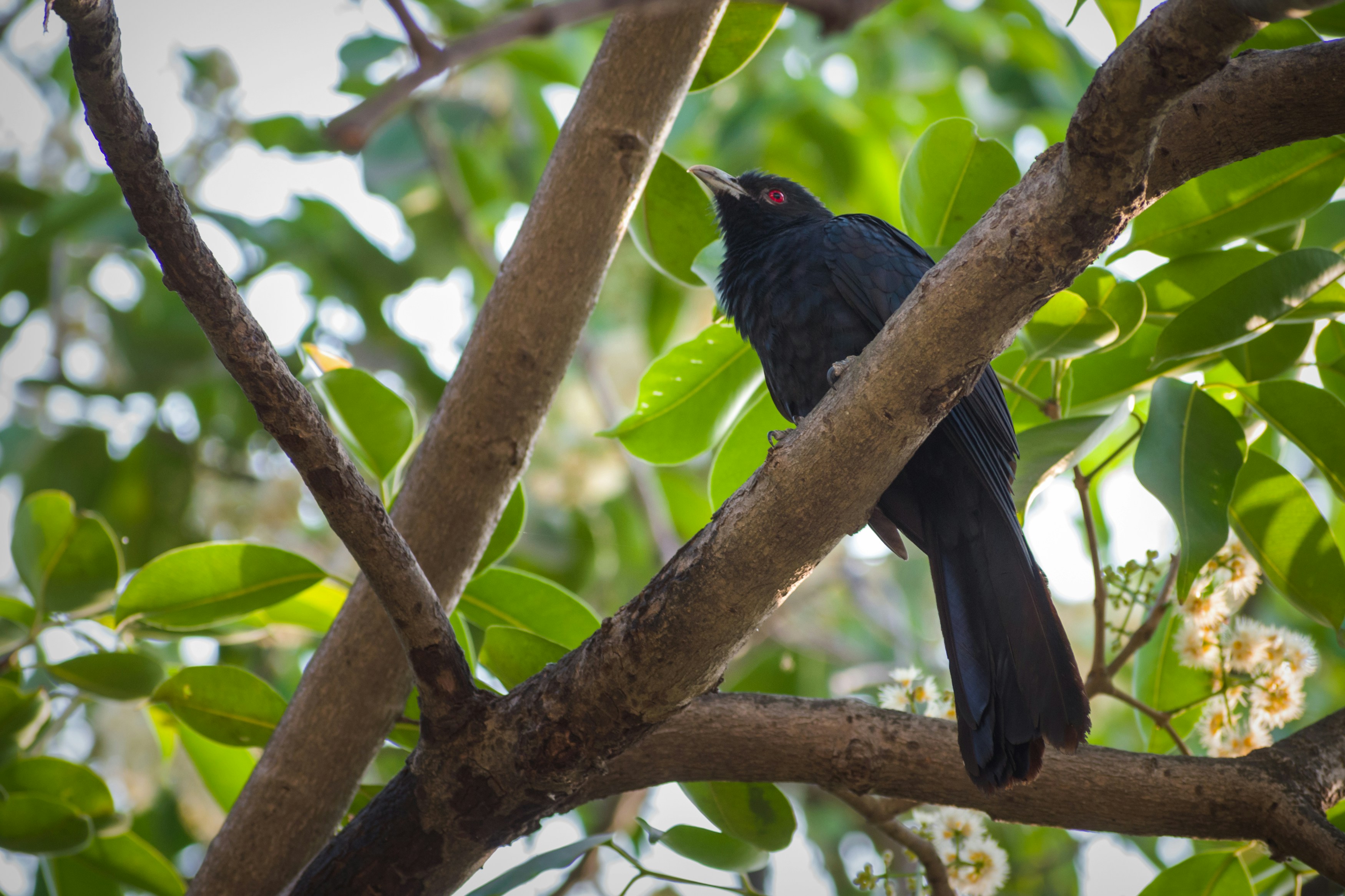 Photo by sonika_agarwal