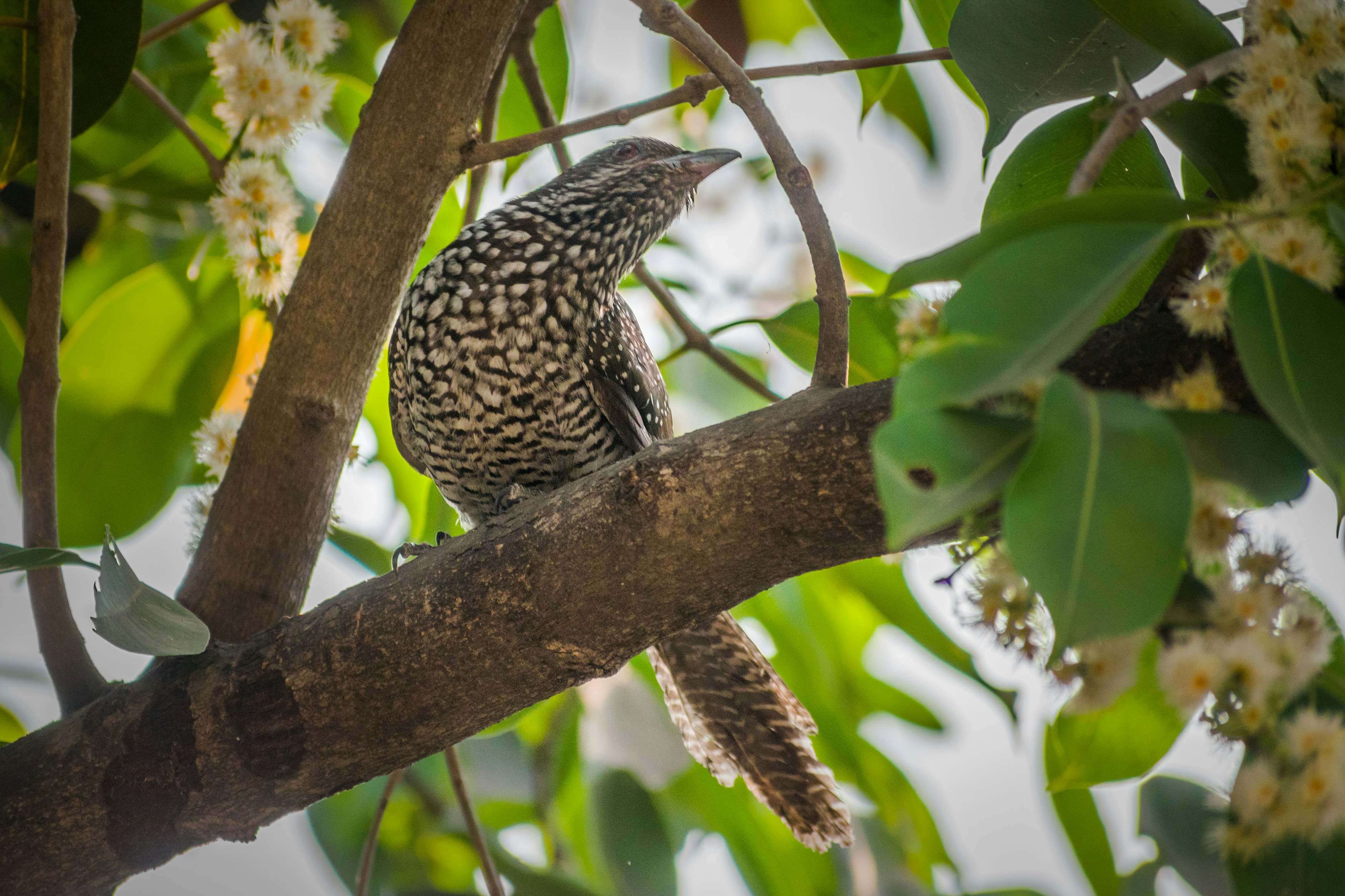 Photo by sonika_agarwal