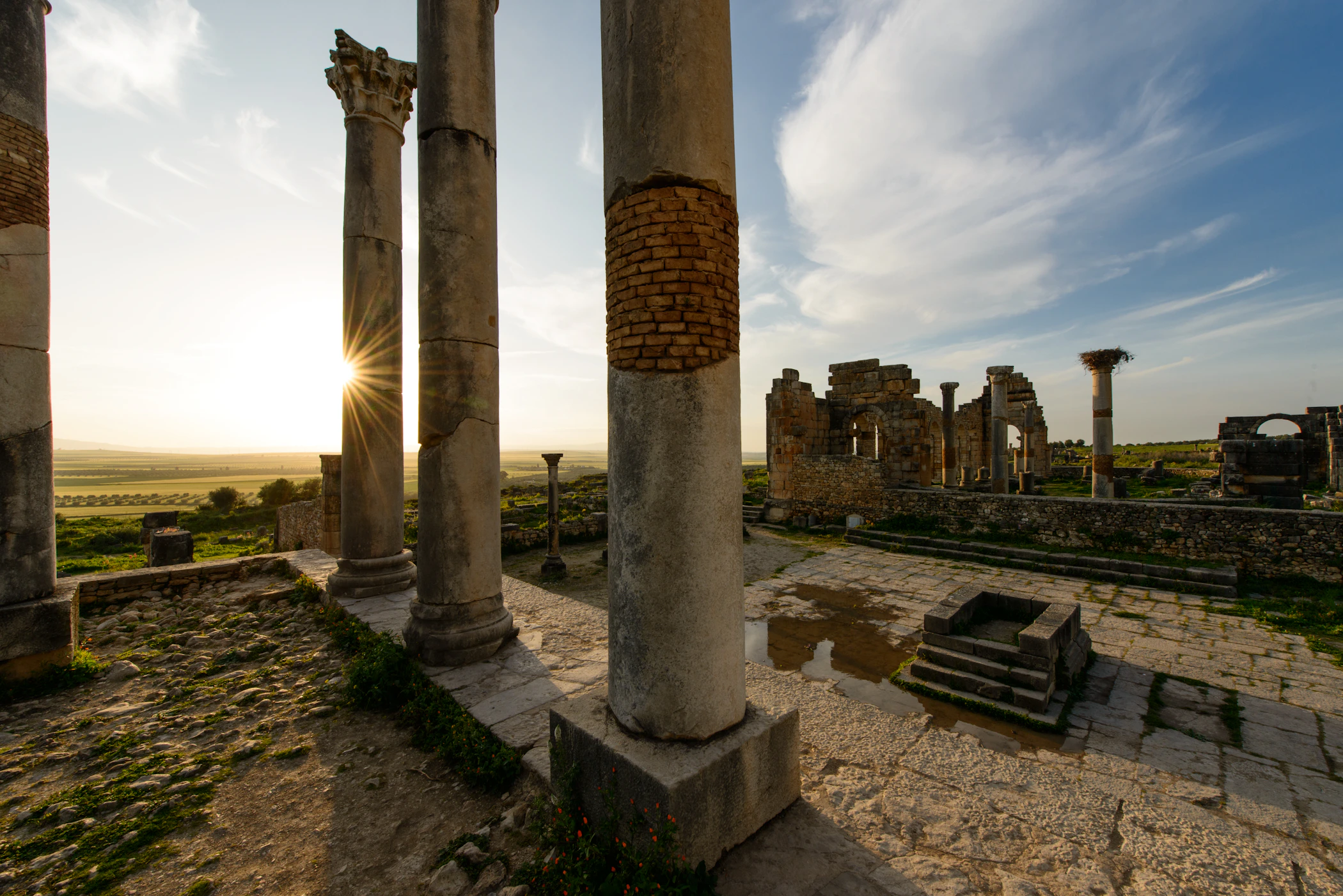 Ancient Roman columns and ruins at Volubilis in Morocco