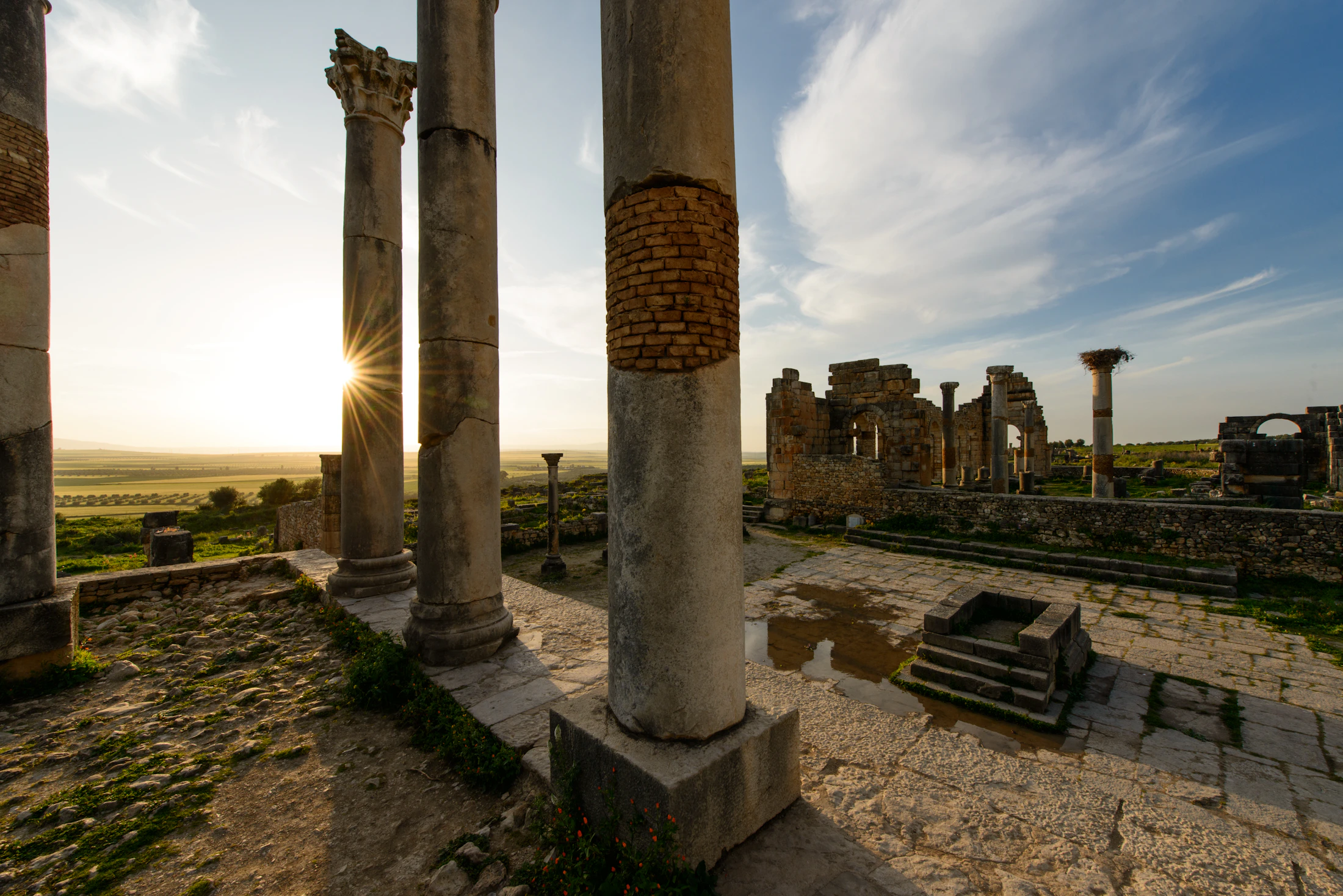 Roman columns and archaeological remains at Volubilis, Morocco