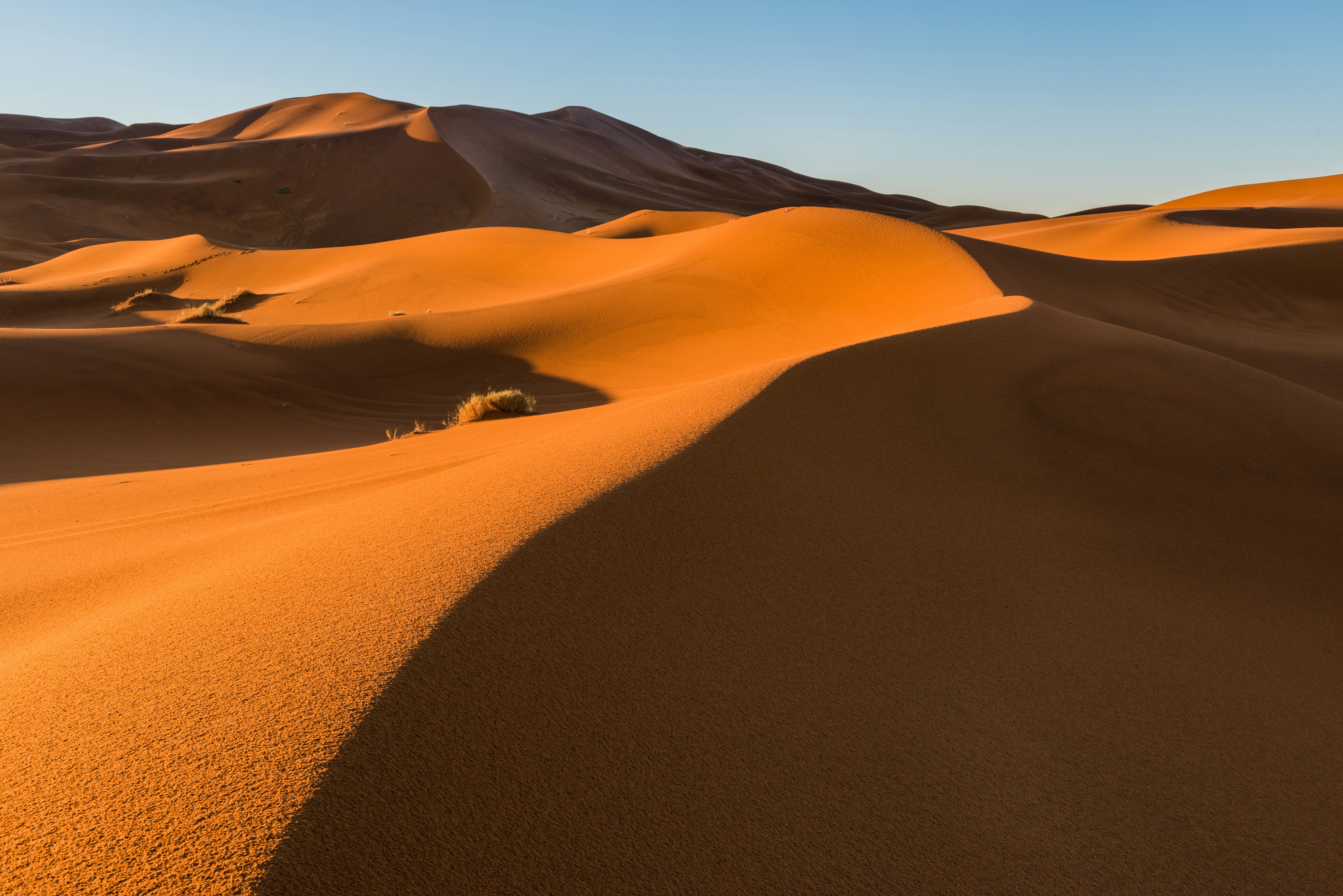 A desert landscape with sand dunes